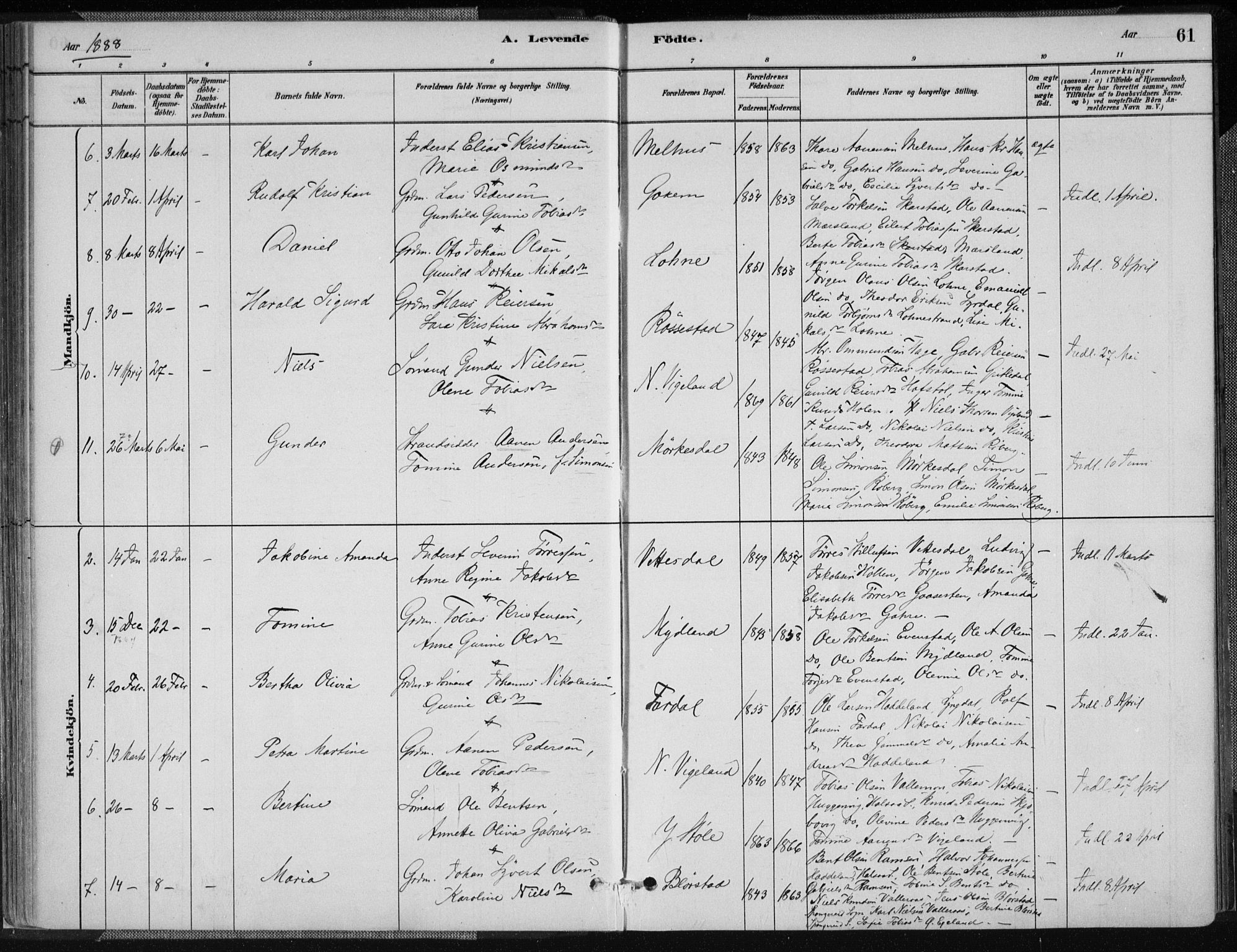 Sør-Audnedal sokneprestkontor, AV/SAK-1111-0039/F/Fa/Fab/L0009: Parish register (official) no. A 9, 1880-1895, p. 61