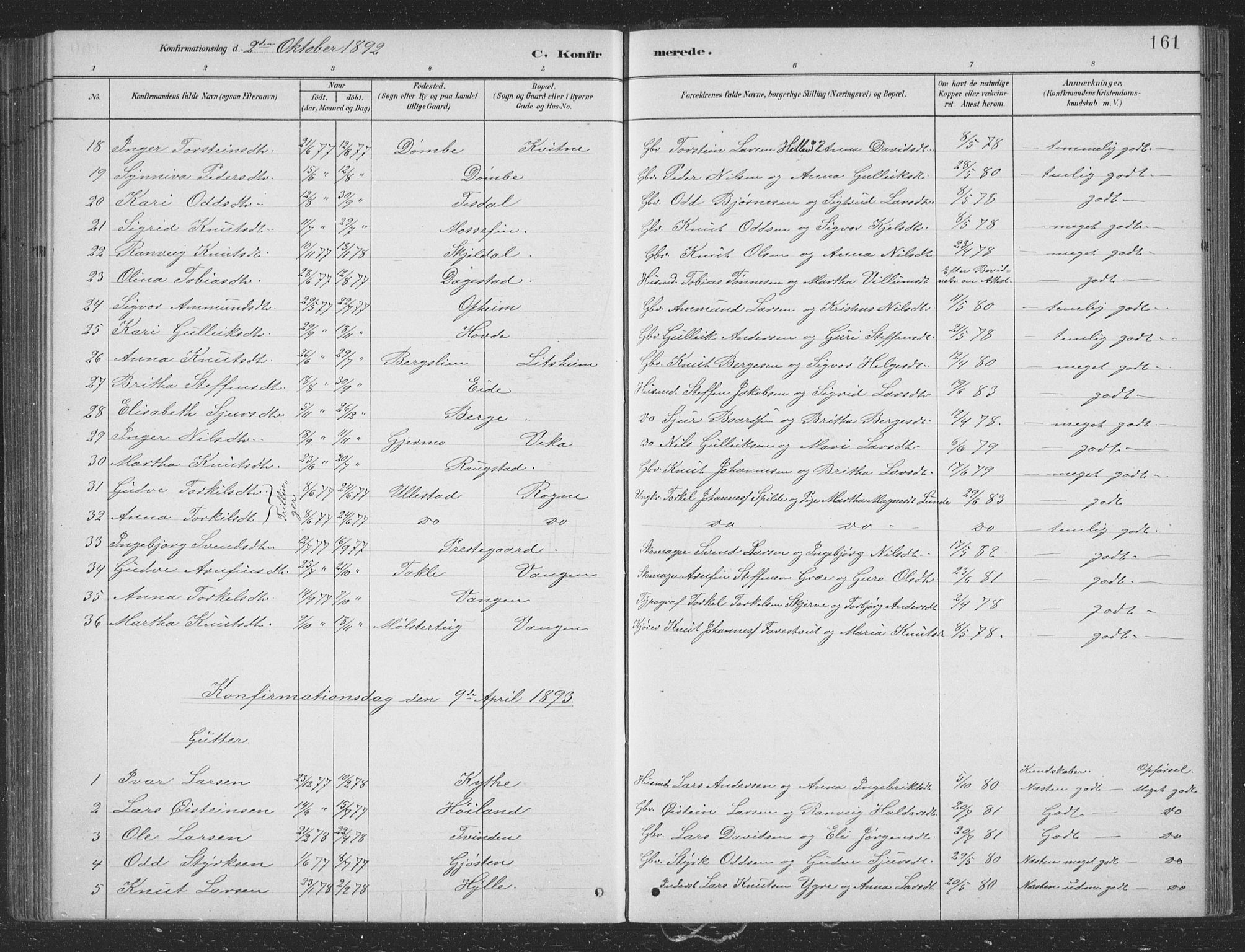 Voss sokneprestembete, SAB/A-79001/H/Hab: Parish register (copy) no. B 3, 1879-1894, p. 161