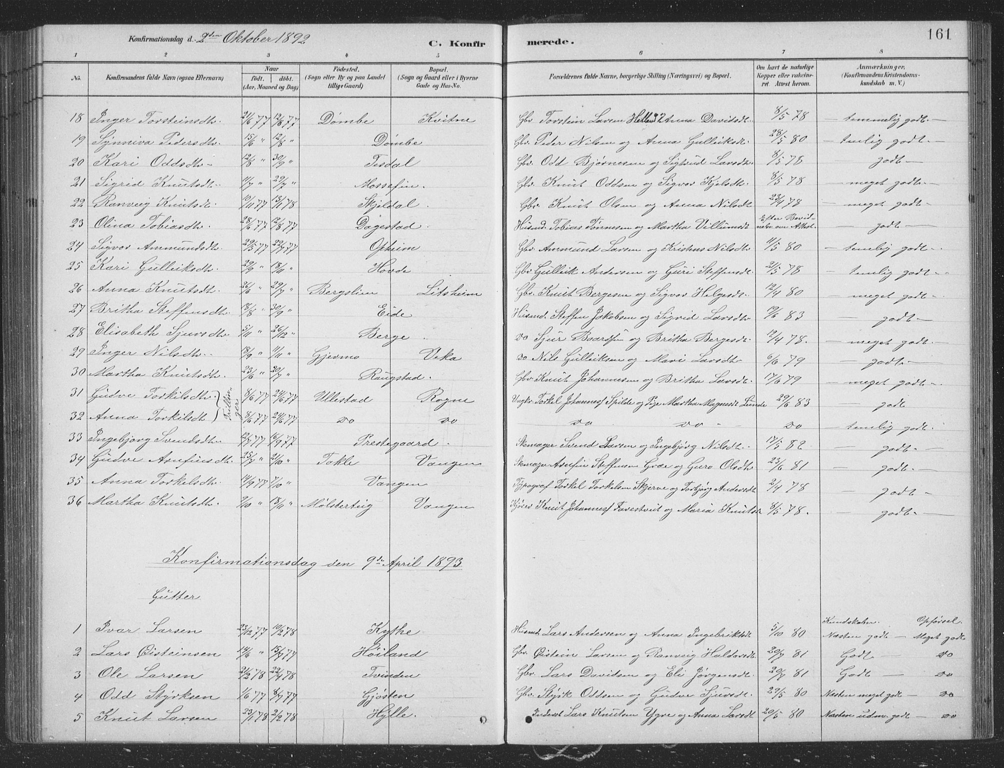 Voss sokneprestembete, AV/SAB-A-79001/H/Hab: Parish register (copy) no. B 3, 1879-1894, p. 161