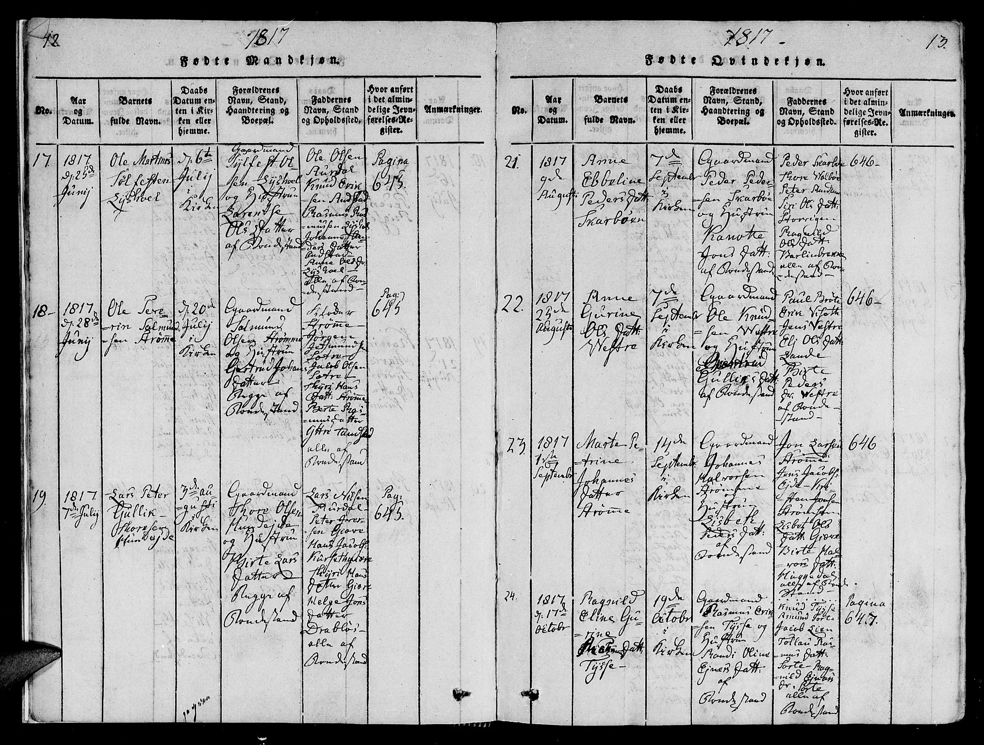 Ministerialprotokoller, klokkerbøker og fødselsregistre - Møre og Romsdal, AV/SAT-A-1454/522/L0310: Parish register (official) no. 522A05, 1816-1832, p. 12-13