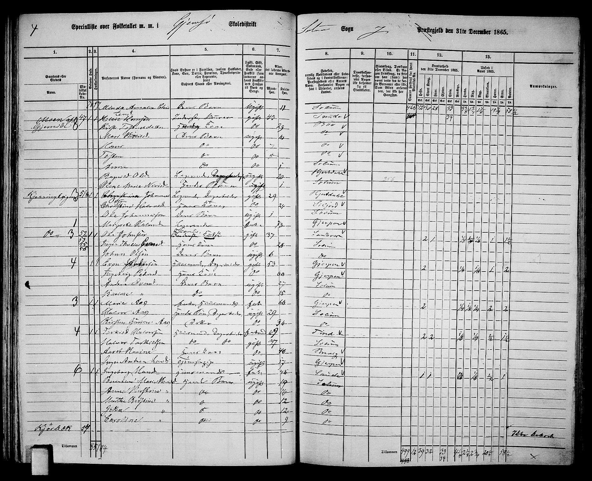 RA, 1865 census for Solum, 1865, p. 64