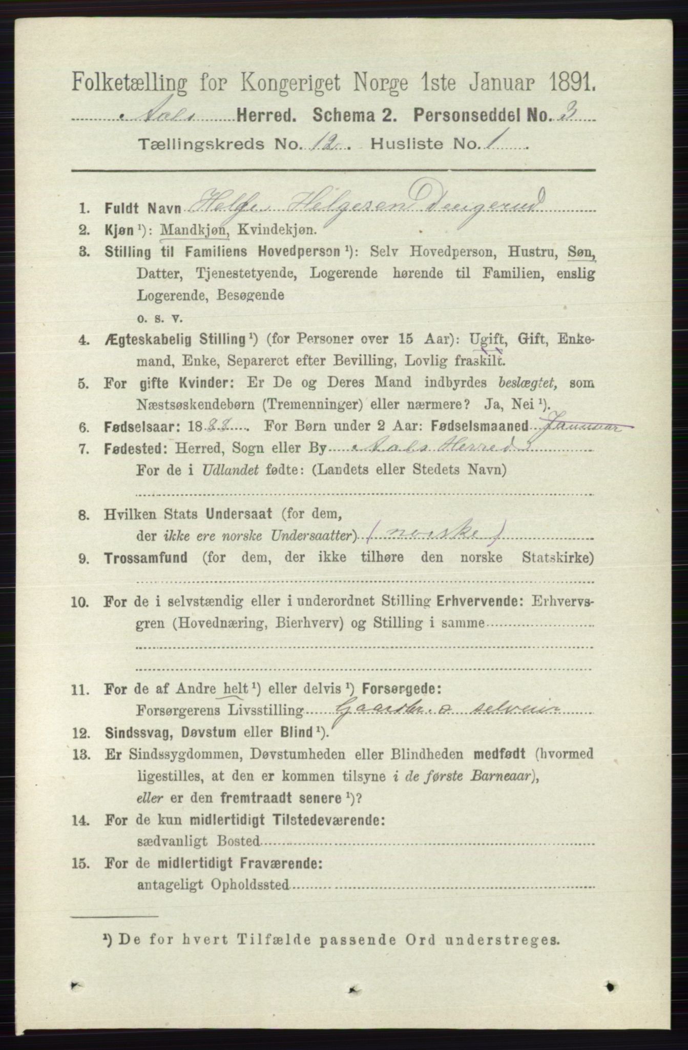 RA, 1891 census for 0619 Ål, 1891, p. 3009