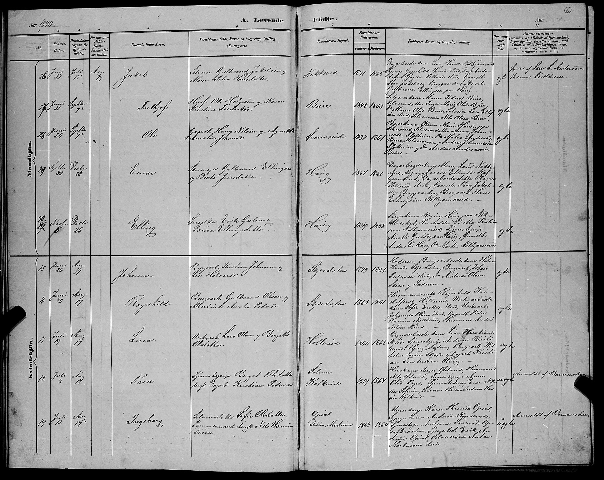 Hole kirkebøker, SAKO/A-228/G/Gb/L0003: Parish register (copy) no. II 3, 1890-1901, p. 6