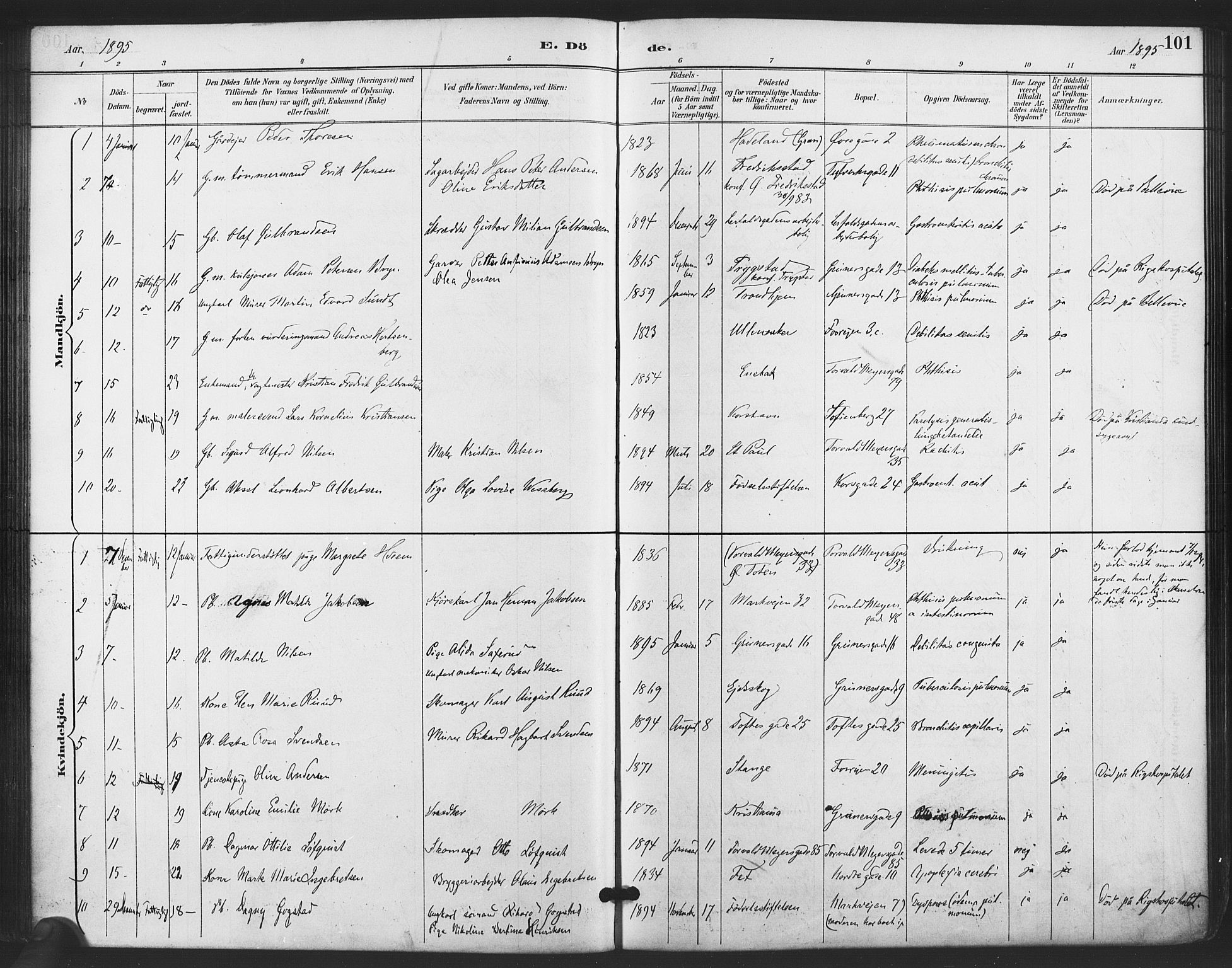 Paulus prestekontor Kirkebøker, SAO/A-10871/F/Fa/L0011: Parish register (official) no. 11, 1889-1897, p. 101