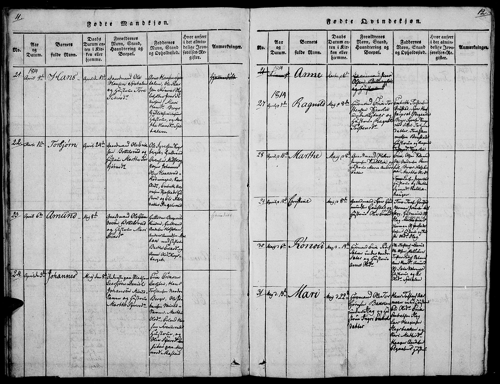 Vinger prestekontor, AV/SAH-PREST-024/H/Ha/Hab/L0001: Parish register (copy) no. 1, 1814-1825, p. 11-12