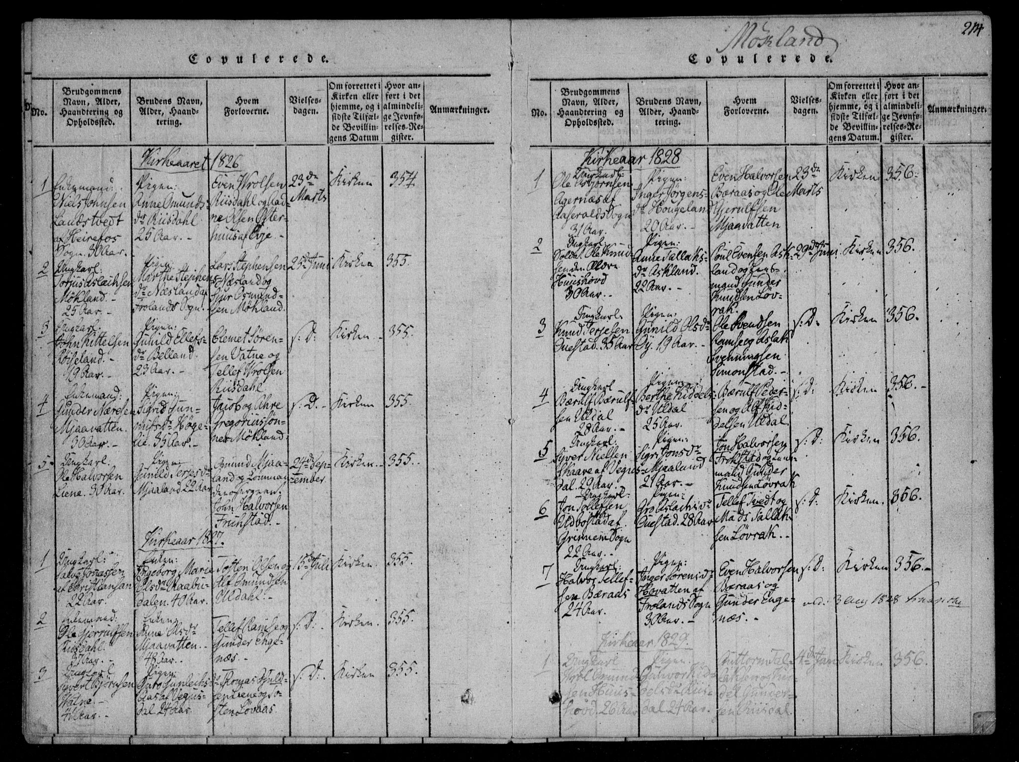 Åmli sokneprestkontor, AV/SAK-1111-0050/F/Fa/Fac/L0006: Parish register (official) no. A 6, 1816-1829, p. 214