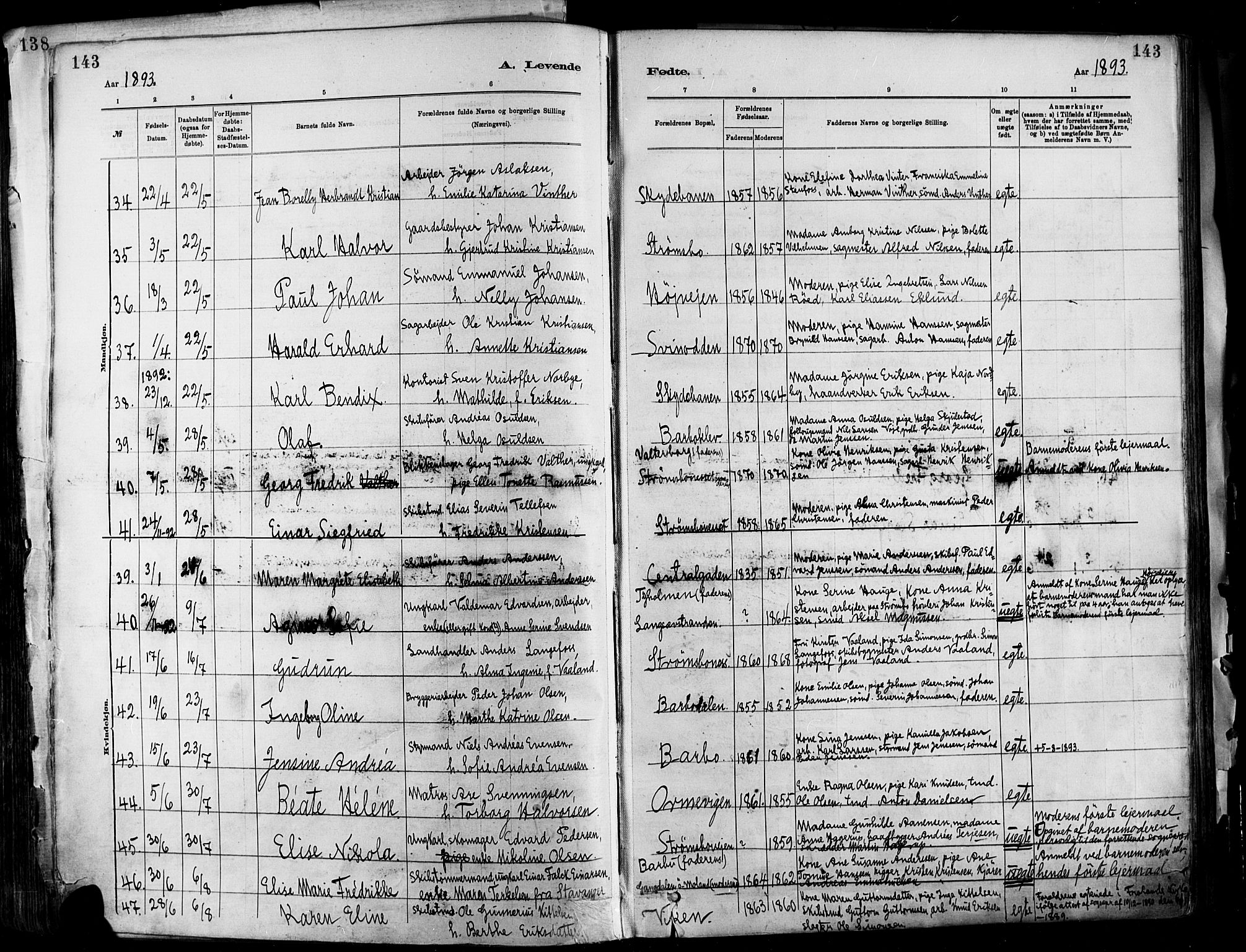 Barbu sokneprestkontor, AV/SAK-1111-0003/F/Fa/L0002: Parish register (official) no. A 2, 1883-1898, p. 143