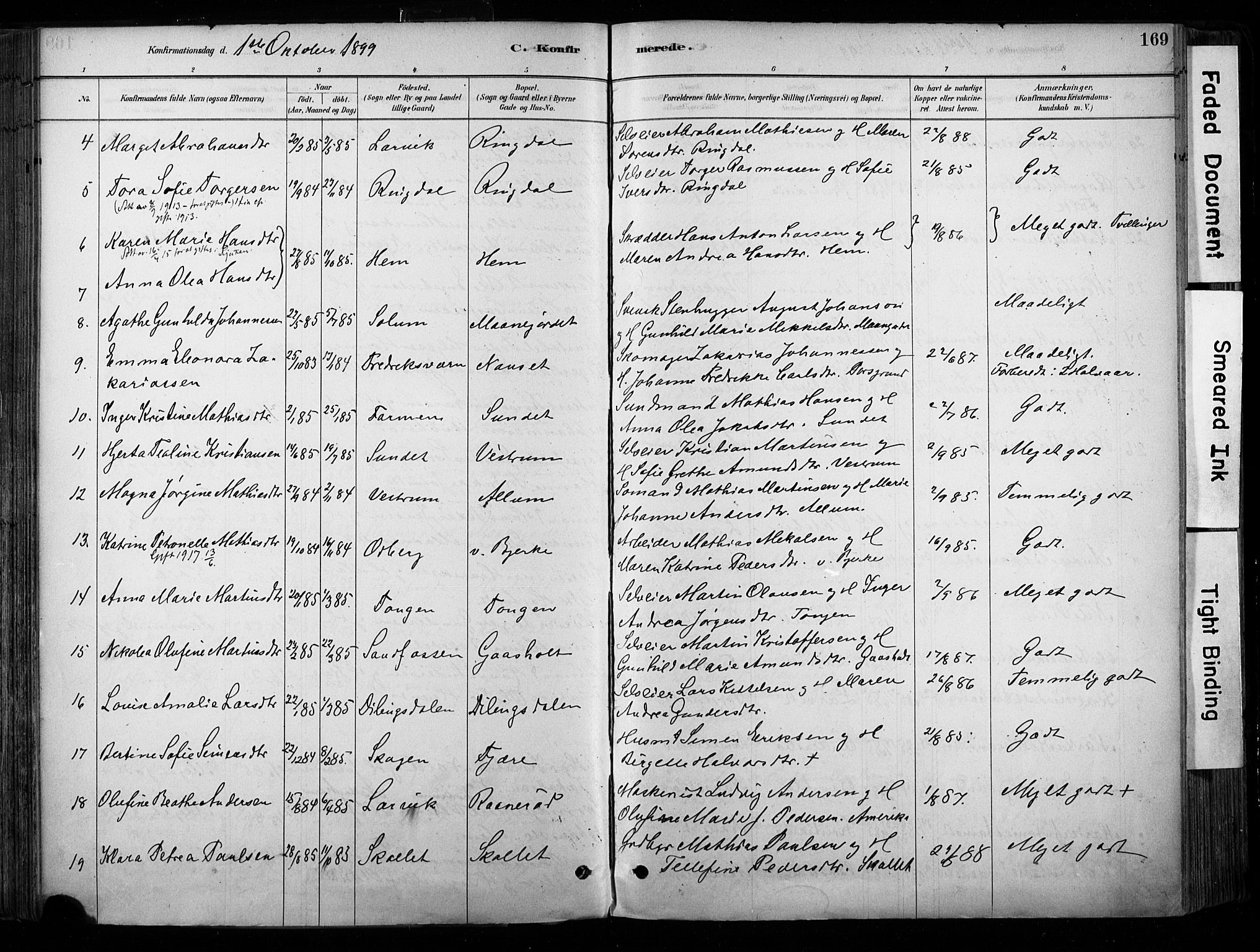 Hedrum kirkebøker, AV/SAKO-A-344/F/Fa/L0009: Parish register (official) no. I 9, 1881-1903, p. 169