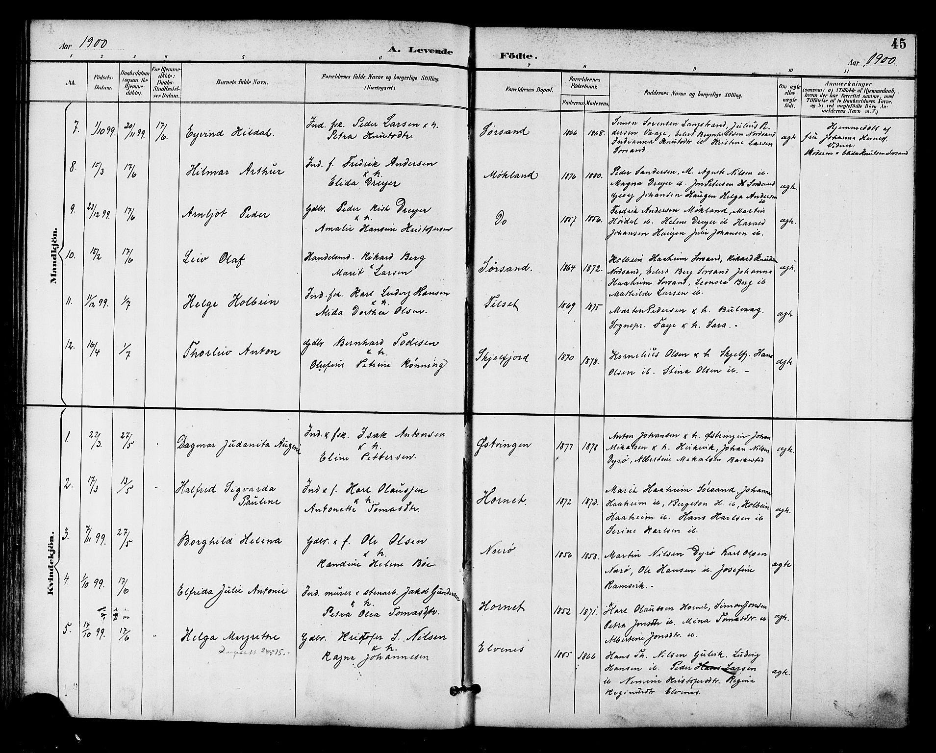 Ministerialprotokoller, klokkerbøker og fødselsregistre - Nordland, AV/SAT-A-1459/893/L1338: Parish register (official) no. 893A10, 1894-1903, p. 45