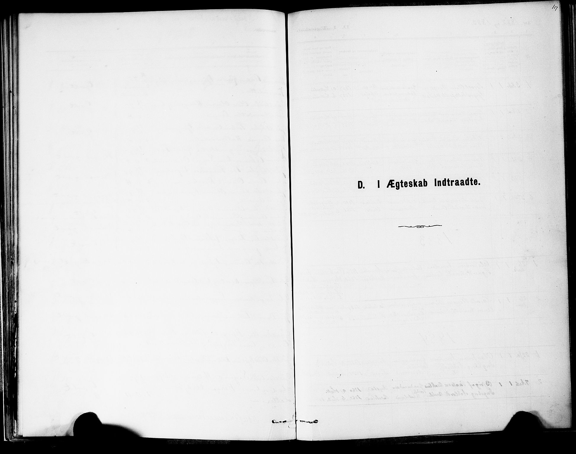 Valle sokneprestkontor, AV/SAK-1111-0044/F/Fa/Fab/L0001: Parish register (official) no. A 1, 1882-1910, p. 117