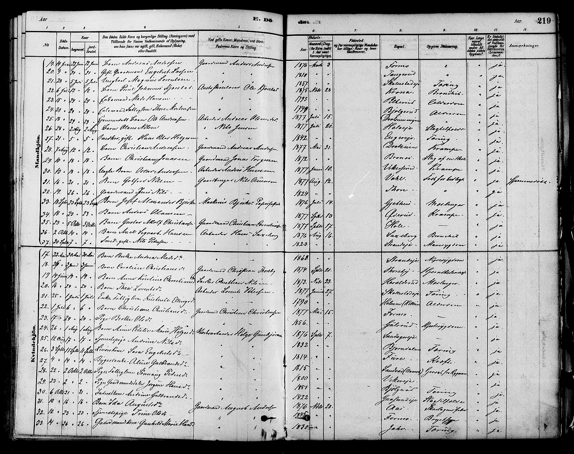 Modum kirkebøker, AV/SAKO-A-234/F/Fa/L0011: Parish register (official) no. 11, 1877-1889, p. 219