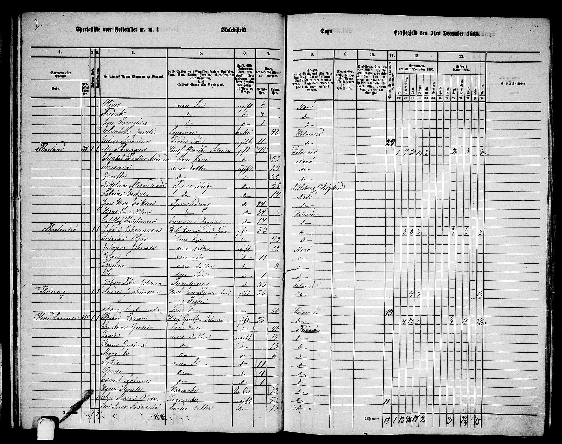 RA, 1865 census for Nærøy, 1865, p. 25