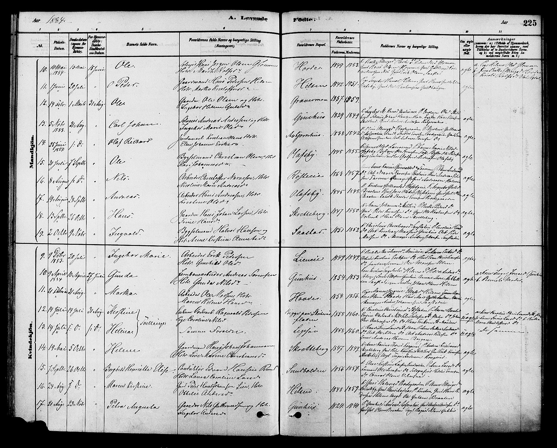 Modum kirkebøker, AV/SAKO-A-234/F/Fa/L0015: Parish register (official) no. 15 /2, 1877-1889, p. 225