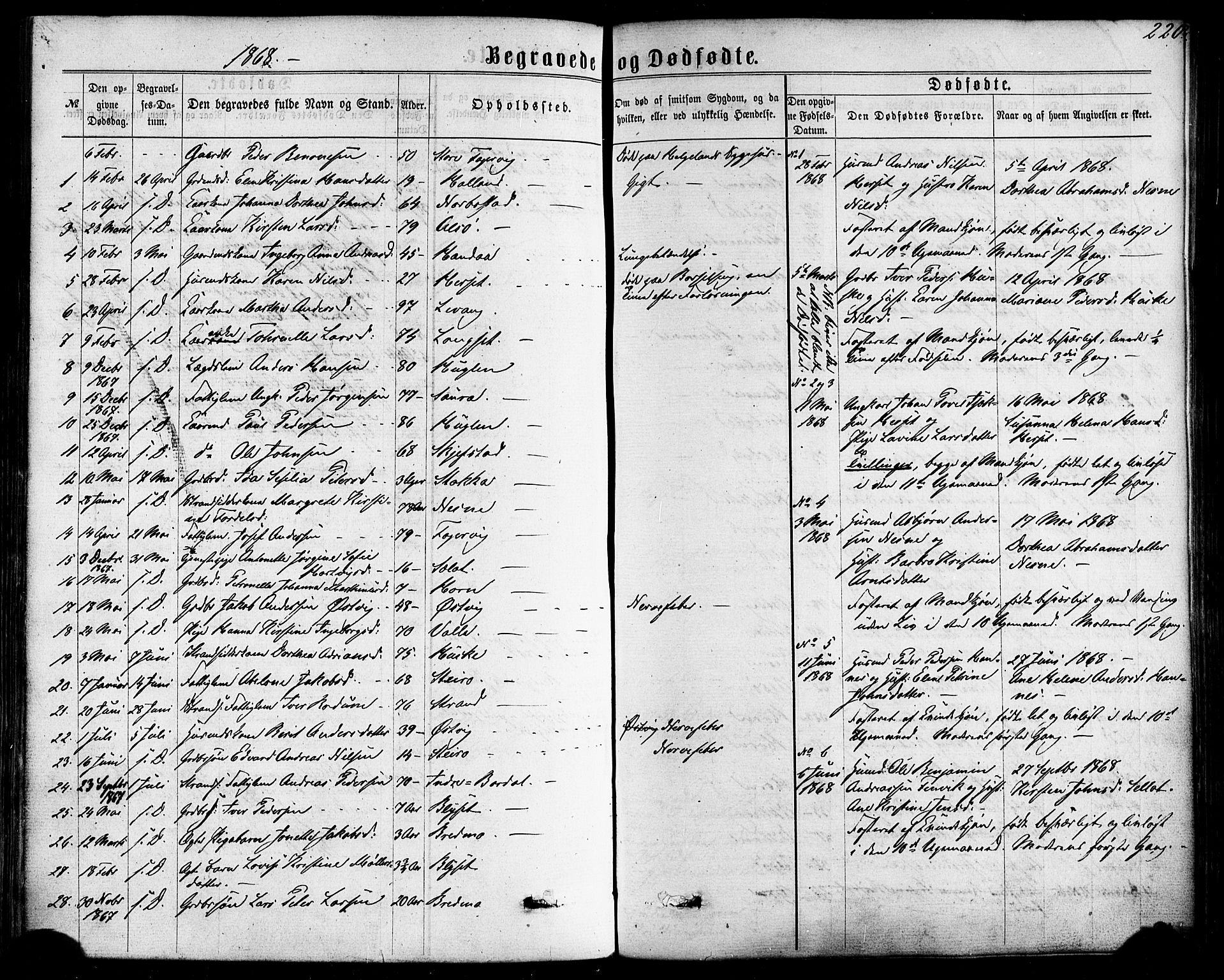 Ministerialprotokoller, klokkerbøker og fødselsregistre - Nordland, SAT/A-1459/838/L0551: Parish register (official) no. 838A09, 1864-1880, p. 220