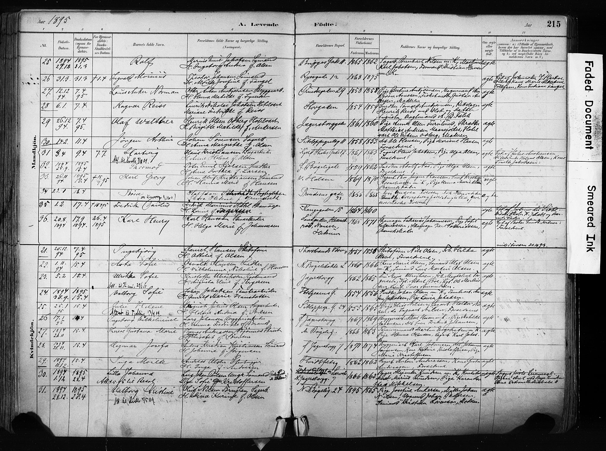 Larvik kirkebøker, AV/SAKO-A-352/F/Fa/L0009: Parish register (official) no. I 9, 1884-1904, p. 215