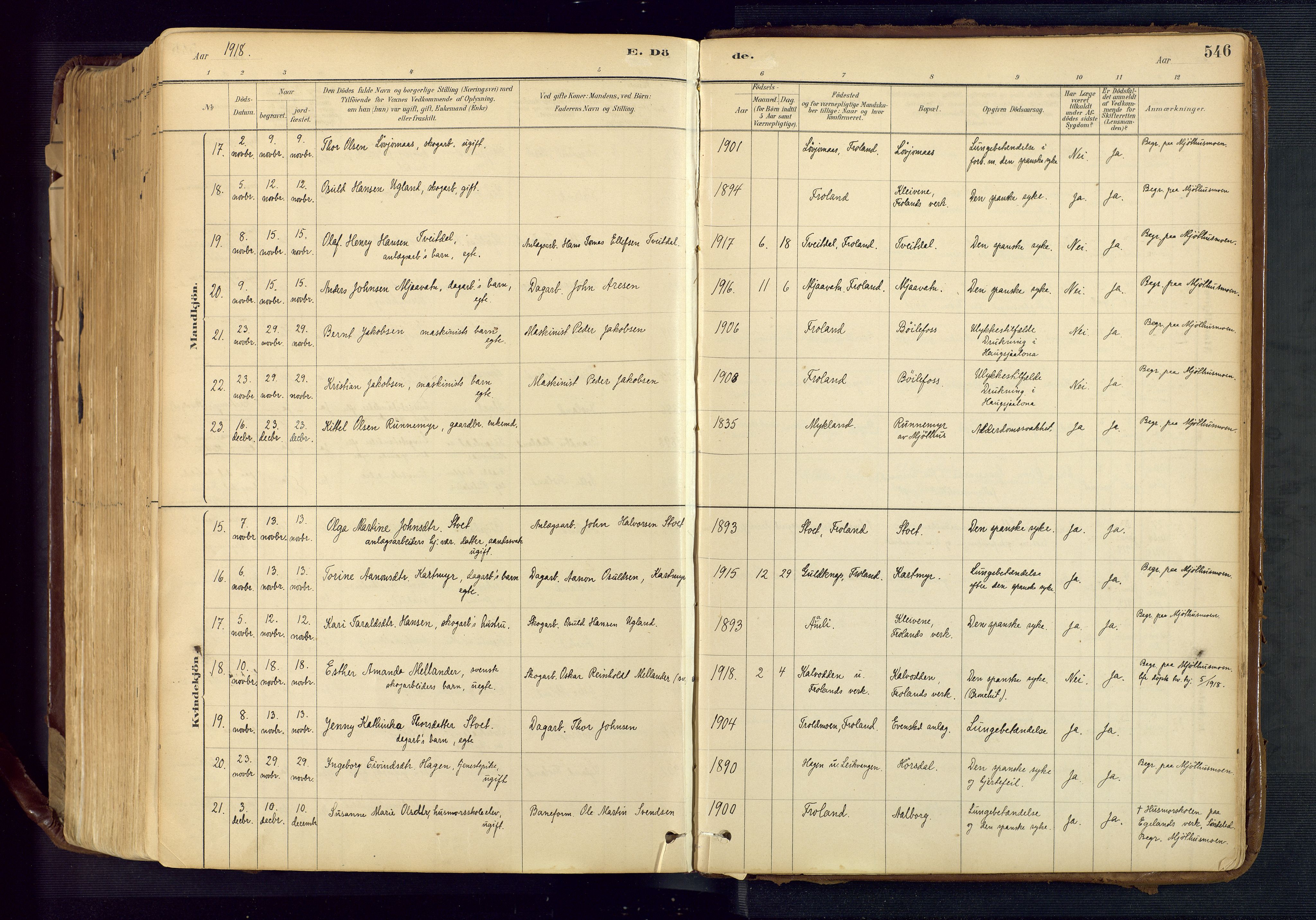 Froland sokneprestkontor, AV/SAK-1111-0013/F/Fa/L0005: Parish register (official) no. A 5, 1882-1921, p. 546