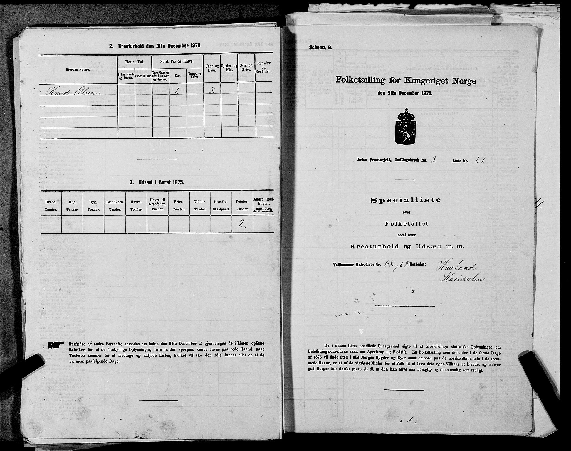 SAST, 1875 census for 1138P Jelsa, 1875, p. 314