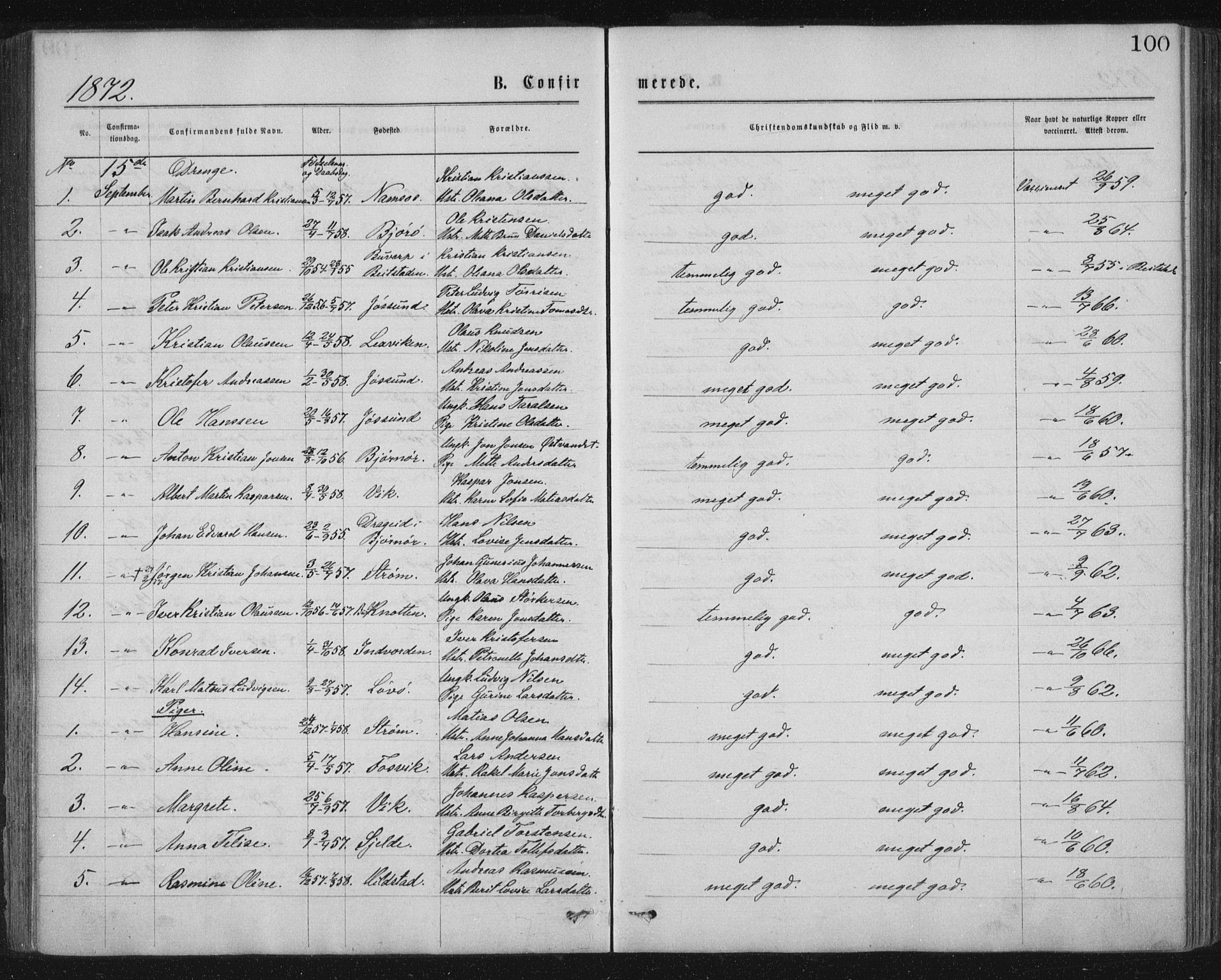 Ministerialprotokoller, klokkerbøker og fødselsregistre - Nord-Trøndelag, SAT/A-1458/771/L0596: Parish register (official) no. 771A03, 1870-1884, p. 100