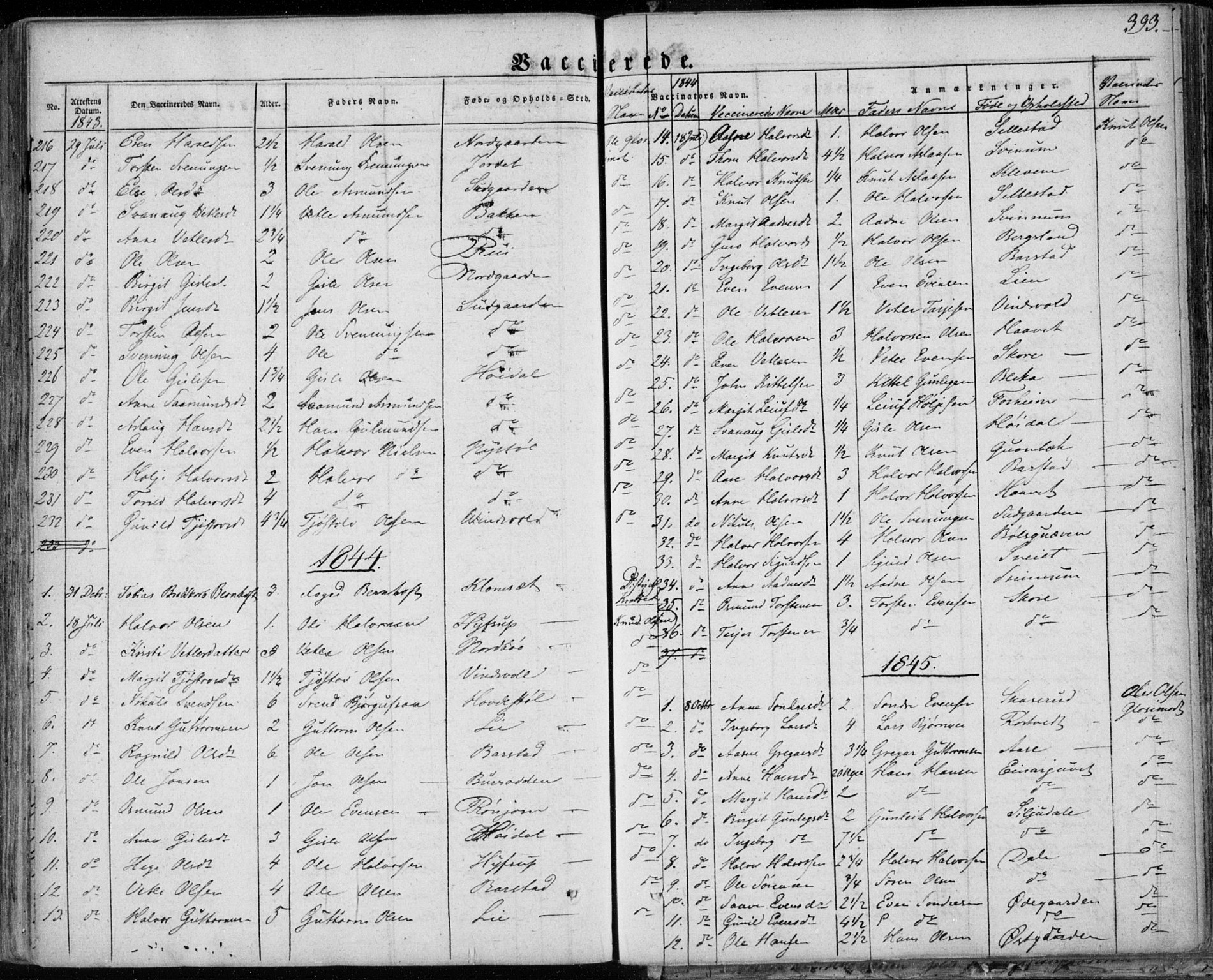 Seljord kirkebøker, SAKO/A-20/F/Fa/L0011: Parish register (official) no. I 11, 1831-1849, p. 393