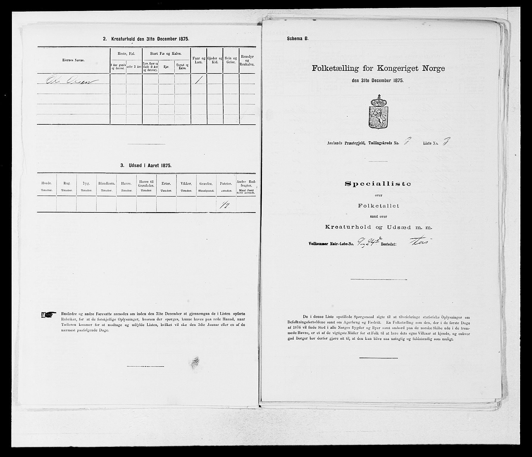 SAB, 1875 census for 1421P Aurland, 1875, p. 255