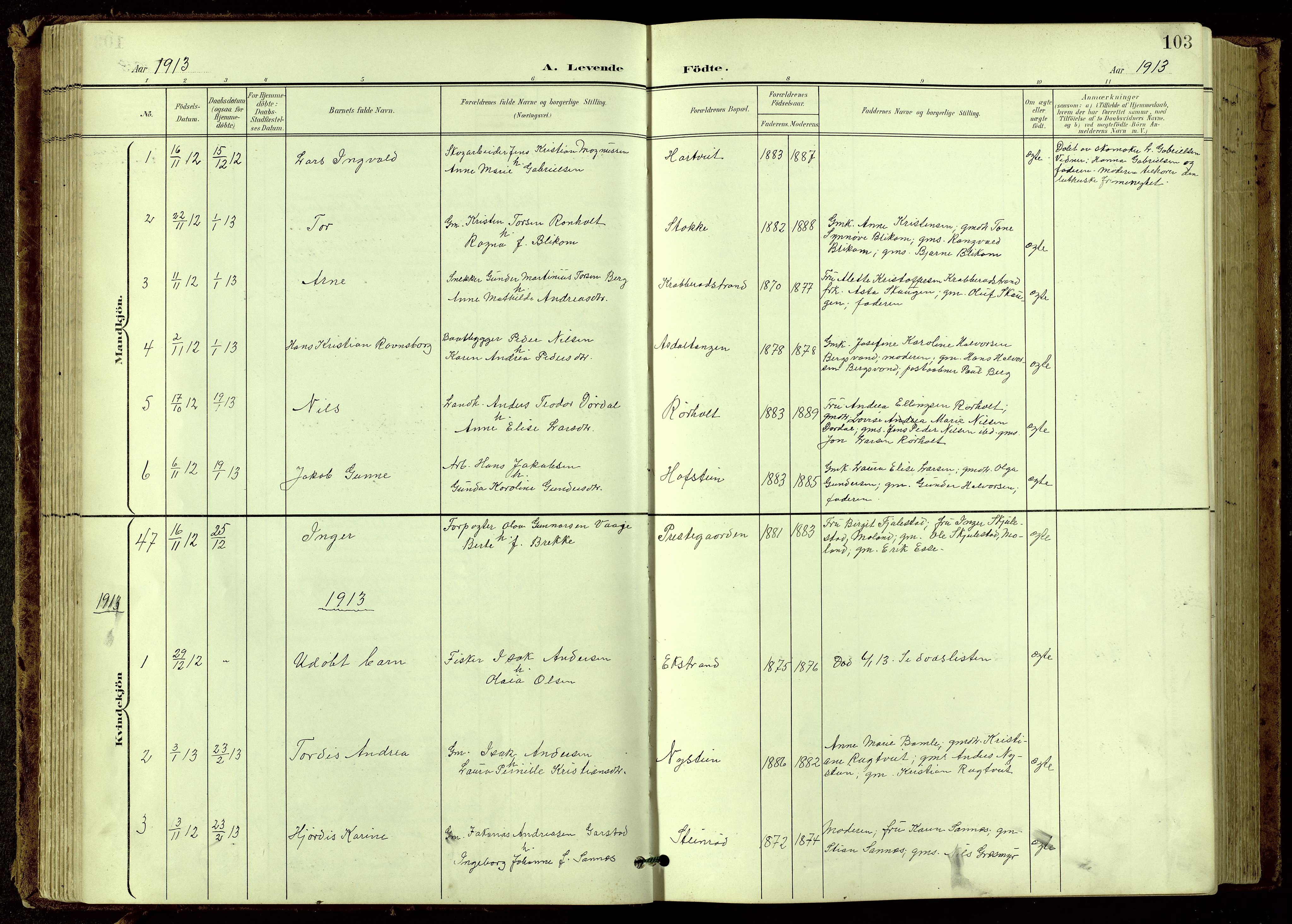 Bamble kirkebøker, SAKO/A-253/G/Ga/L0010: Parish register (copy) no. I 10, 1901-1919, p. 103
