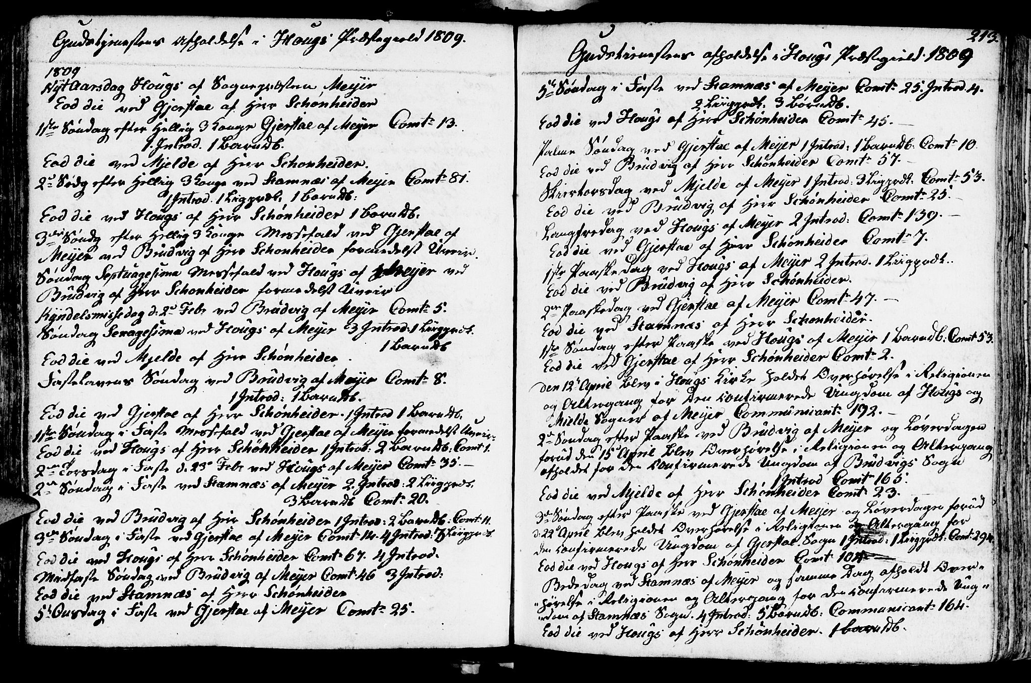 Haus sokneprestembete, SAB/A-75601/H/Haa: Parish register (official) no. A 11, 1796-1816, p. 213