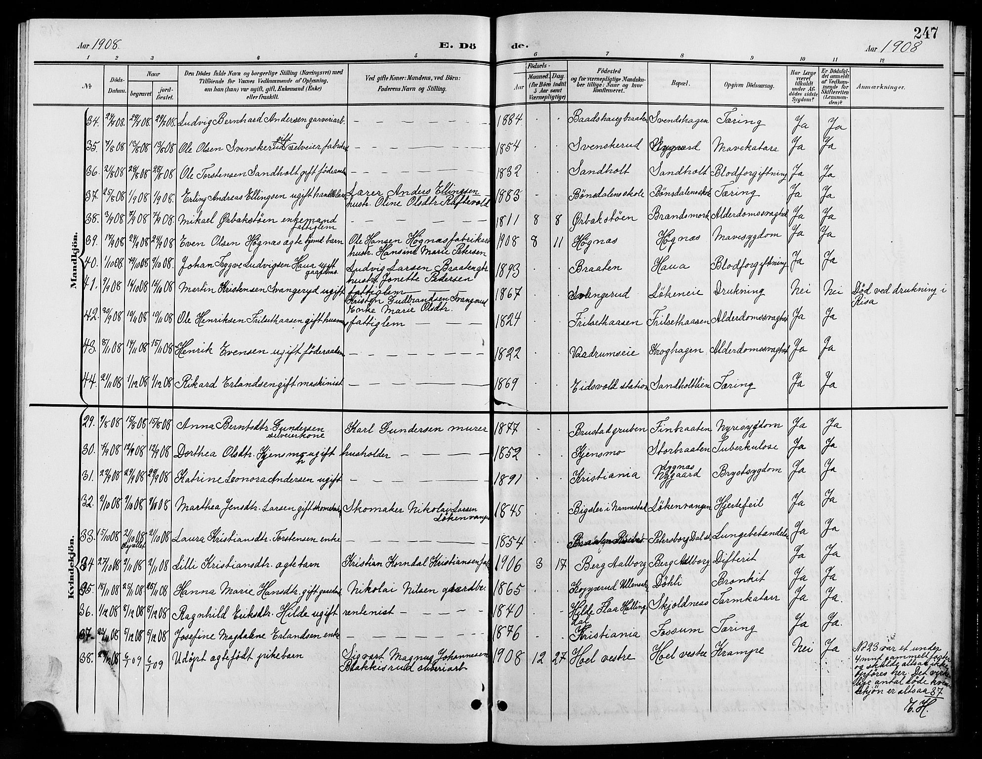 Eidsvoll prestekontor Kirkebøker, SAO/A-10888/G/Ga/L0007: Parish register (copy) no. I 7, 1901-1909, p. 247