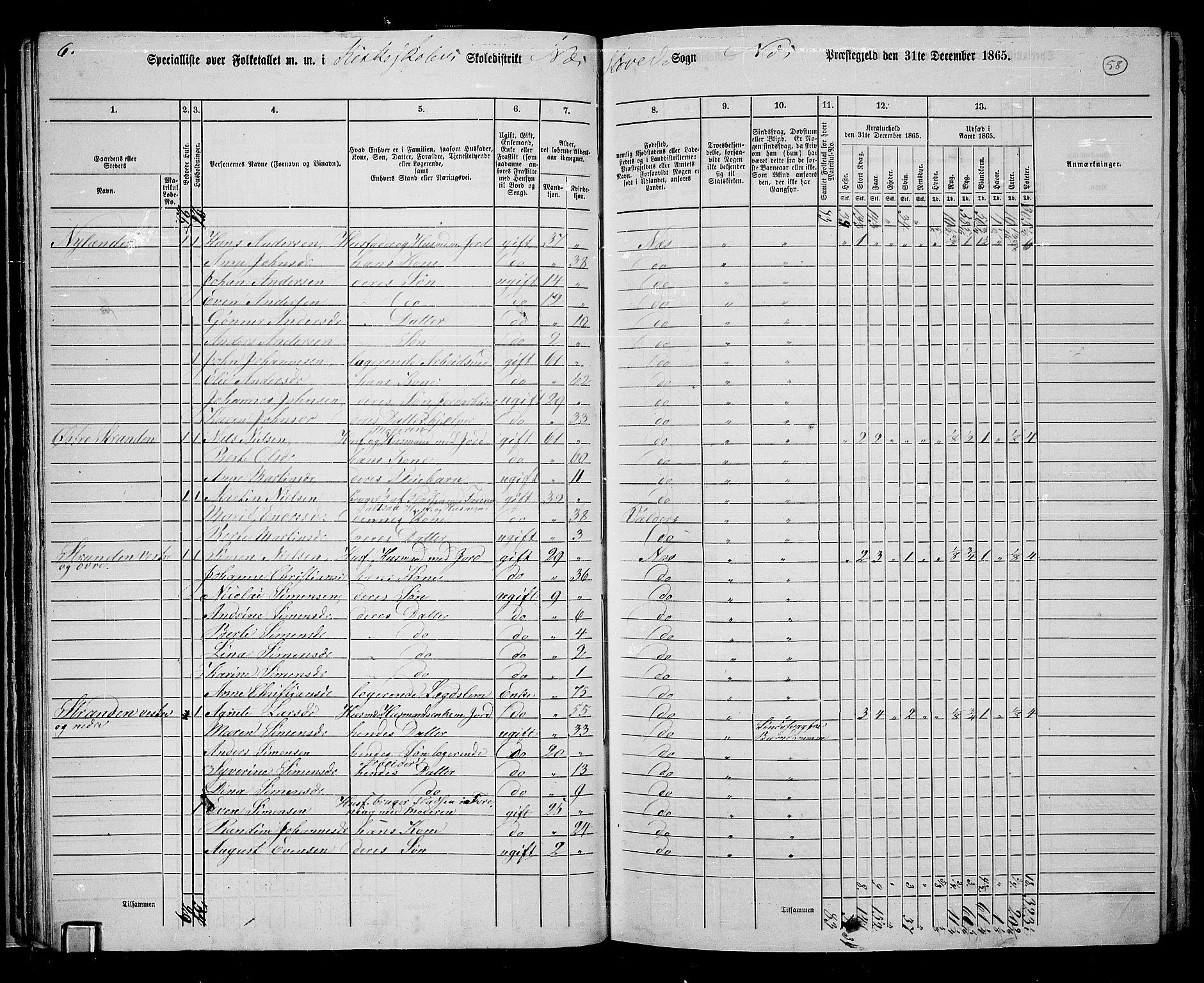 RA, 1865 census for Nes, 1865, p. 51