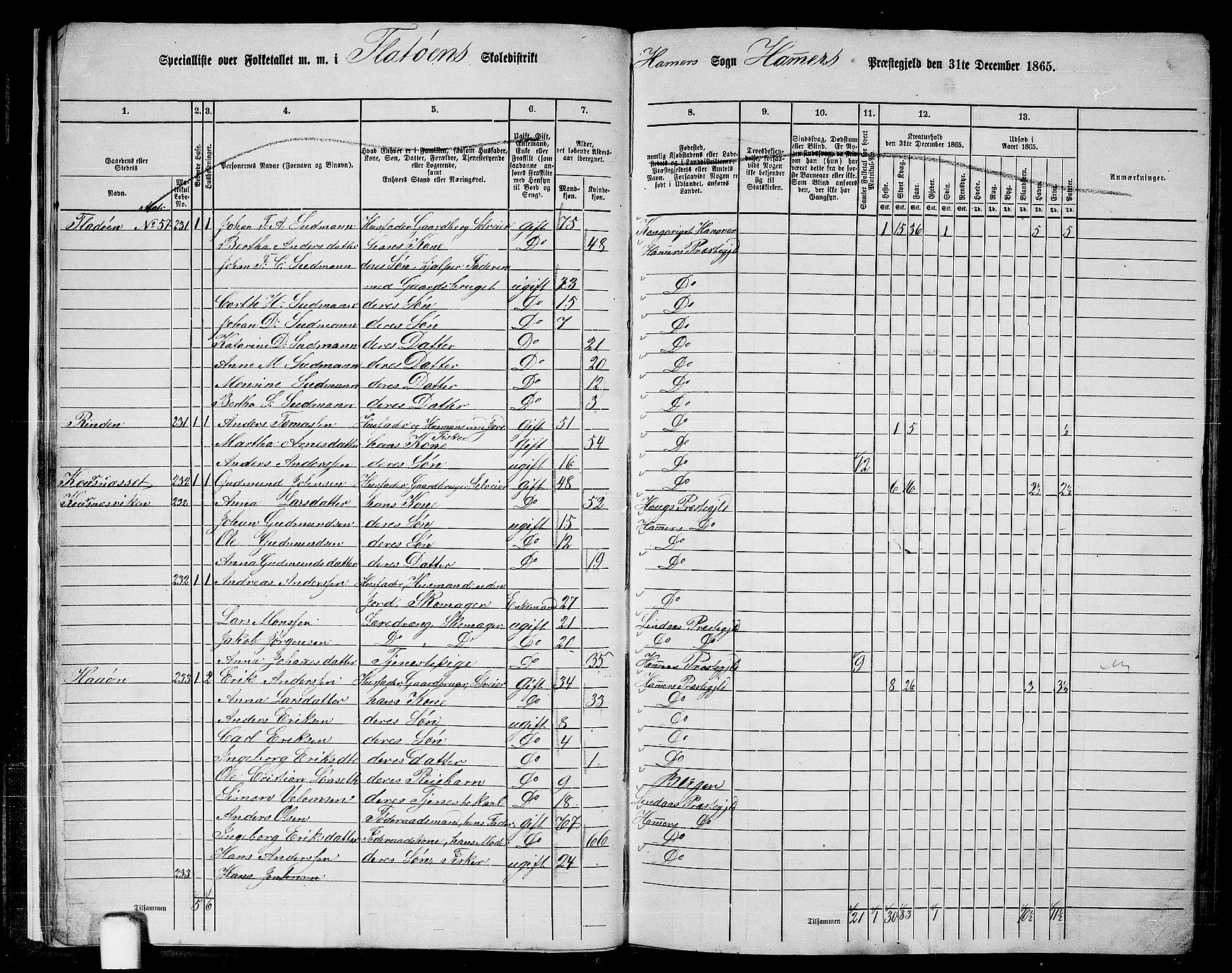 RA, 1865 census for Hamre, 1865, p. 19