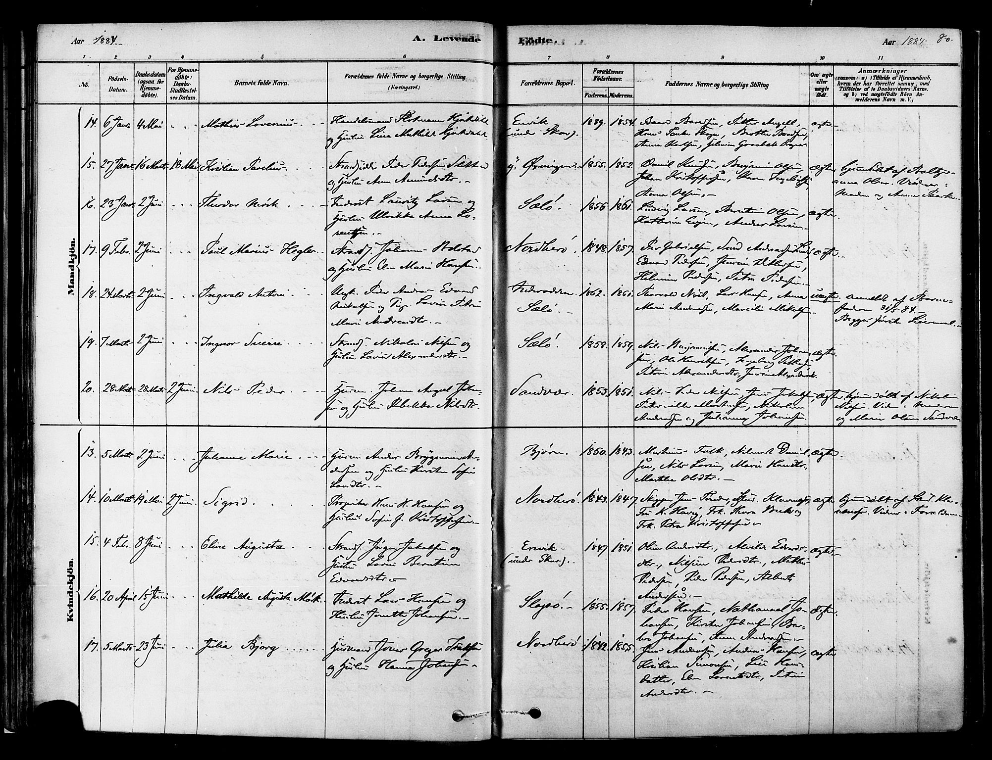 Ministerialprotokoller, klokkerbøker og fødselsregistre - Nordland, AV/SAT-A-1459/834/L0507: Parish register (official) no. 834A05, 1878-1892, p. 80