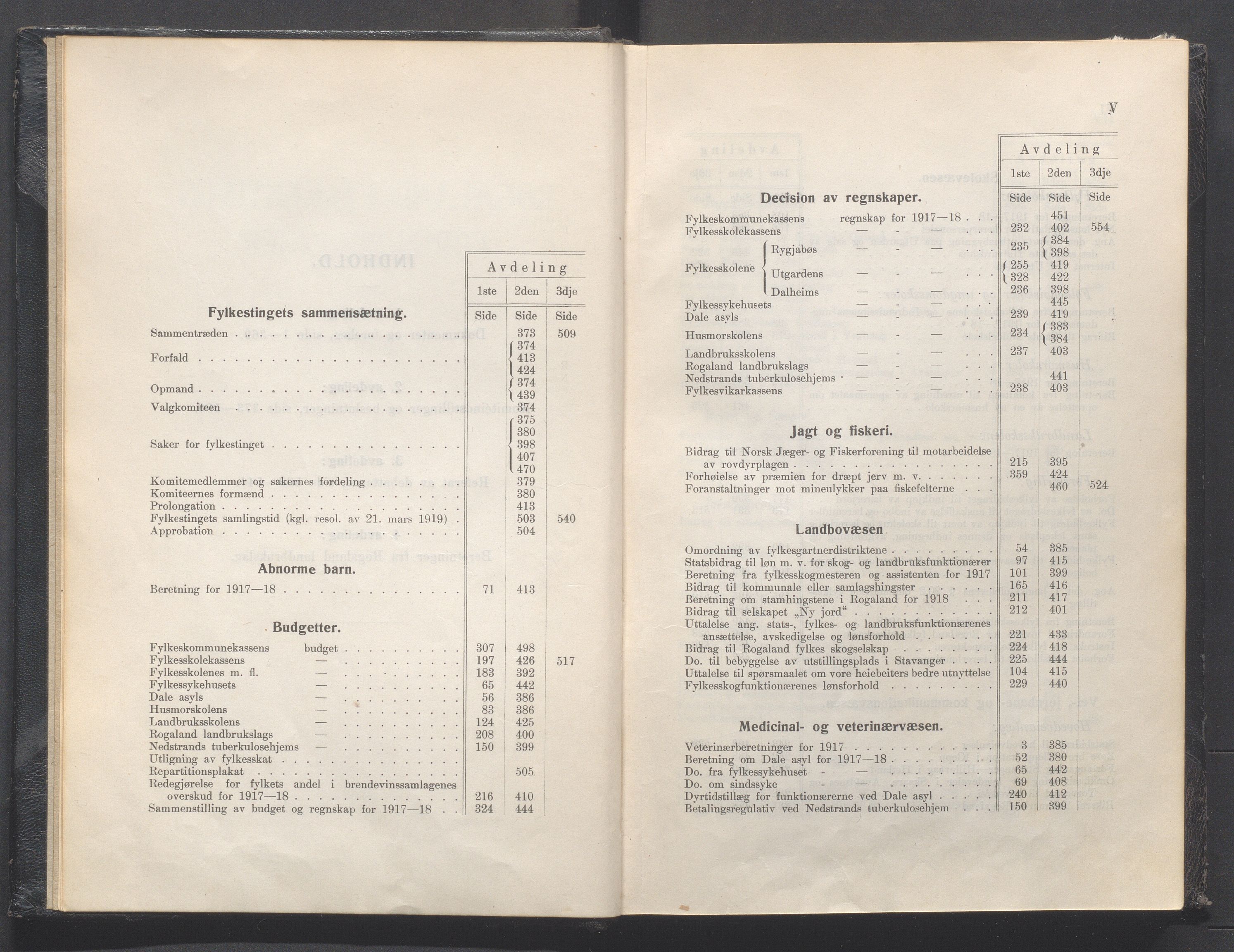 Rogaland fylkeskommune - Fylkesrådmannen , IKAR/A-900/A, 1919, p. 6