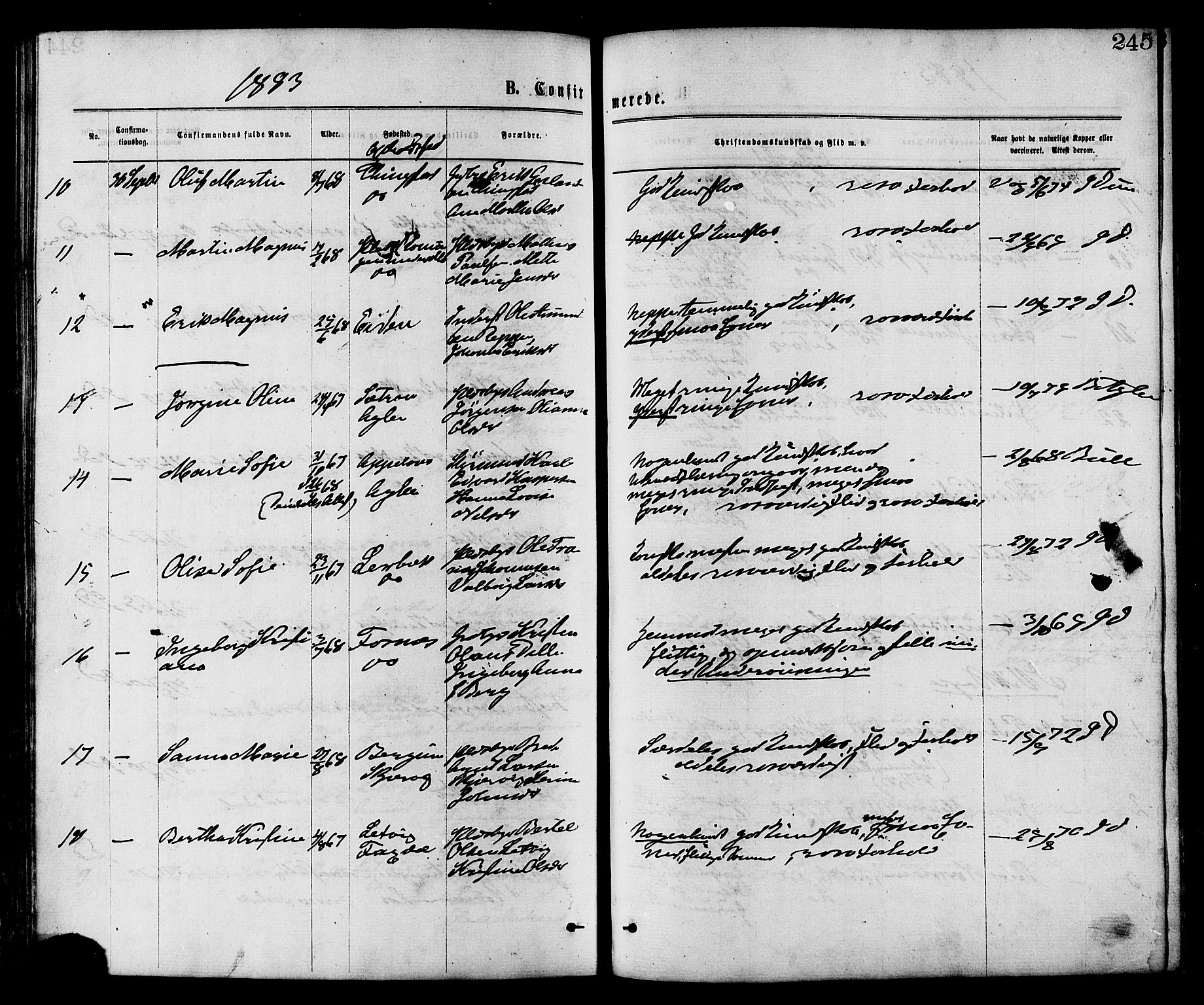 Ministerialprotokoller, klokkerbøker og fødselsregistre - Nord-Trøndelag, AV/SAT-A-1458/773/L0616: Parish register (official) no. 773A07, 1870-1887, p. 245