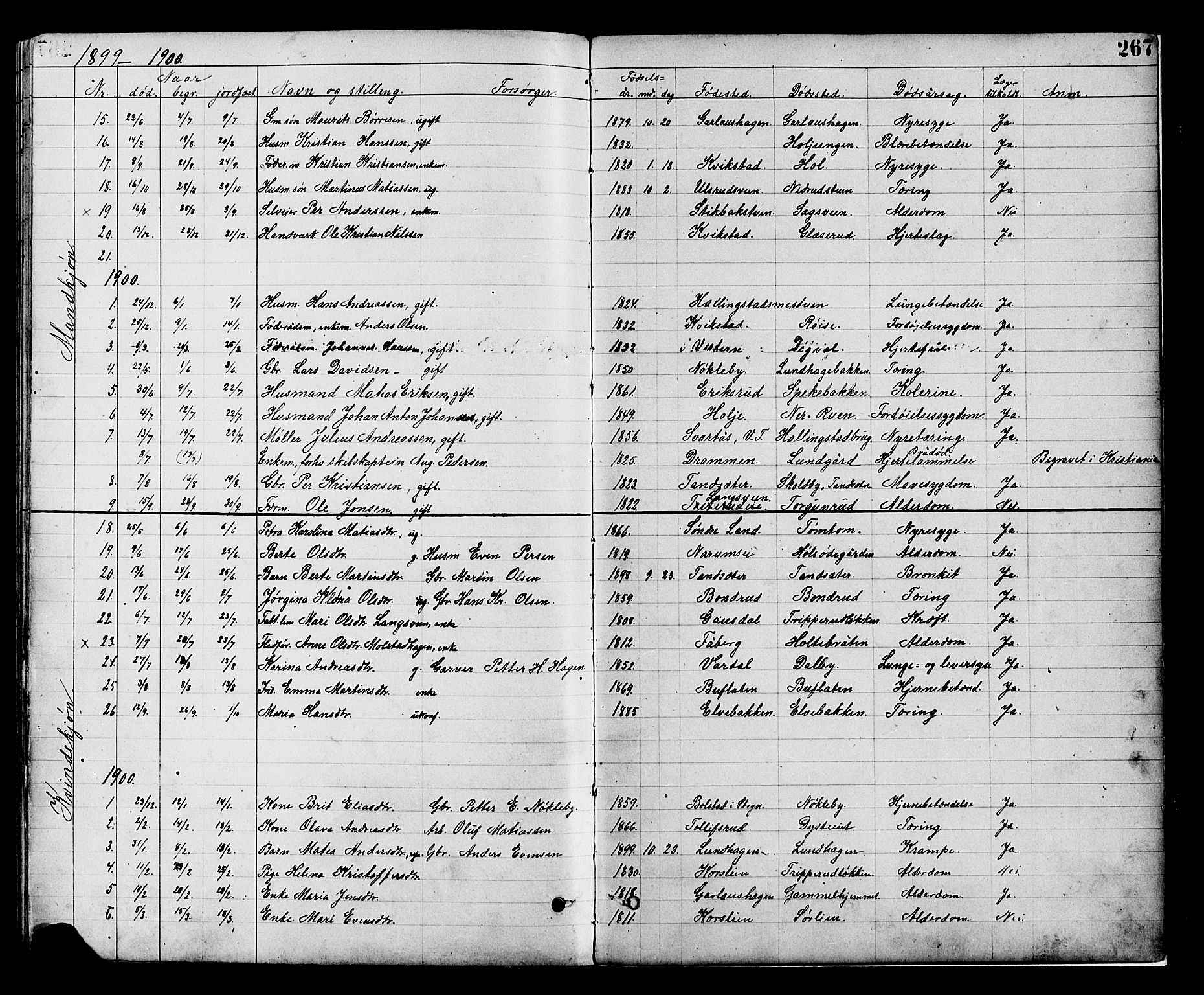 Vestre Toten prestekontor, SAH/PREST-108/H/Ha/Hab/L0008: Parish register (copy) no. 8, 1885-1900, p. 267
