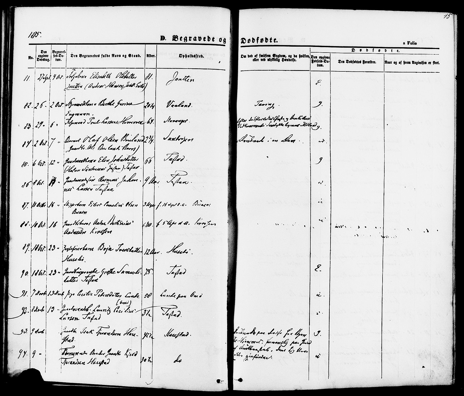 Hetland sokneprestkontor, AV/SAST-A-101826/30/30BA/L0006: Parish register (official) no. A 6, 1869-1884, p. 45