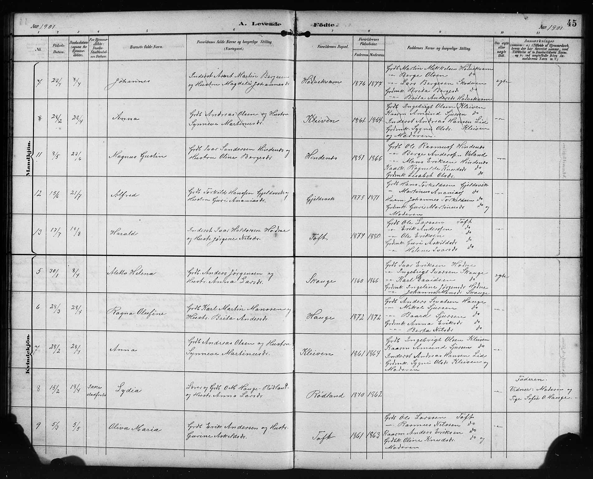 Lindås Sokneprestembete, SAB/A-76701/H/Hab: Parish register (copy) no. E 3, 1892-1905, p. 45