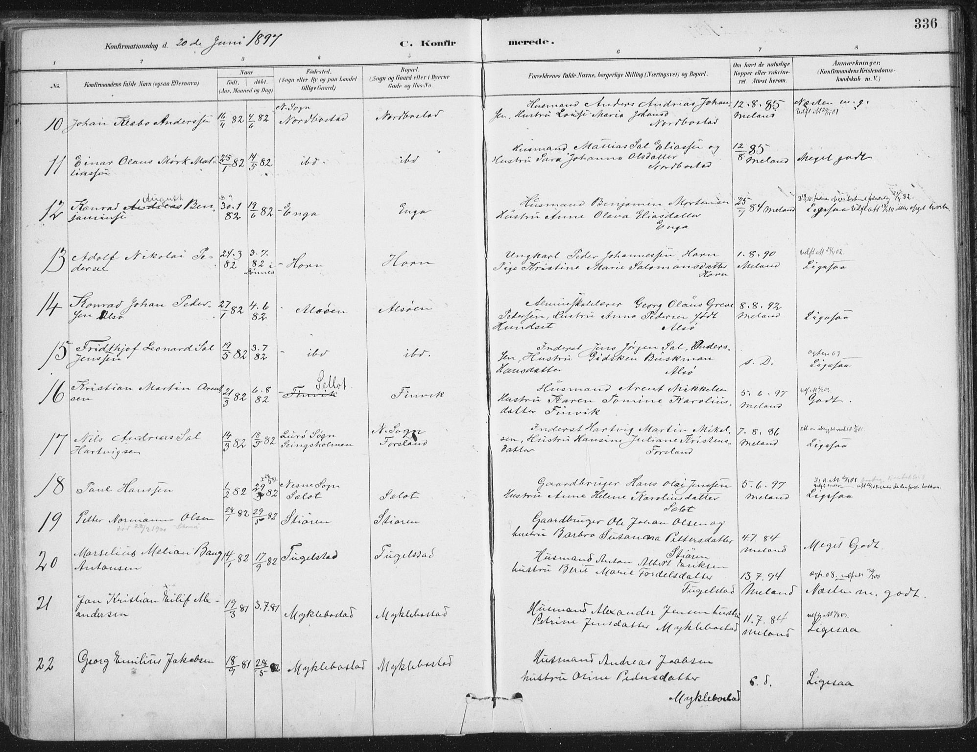 Ministerialprotokoller, klokkerbøker og fødselsregistre - Nordland, AV/SAT-A-1459/838/L0552: Parish register (official) no. 838A10, 1880-1910, p. 336