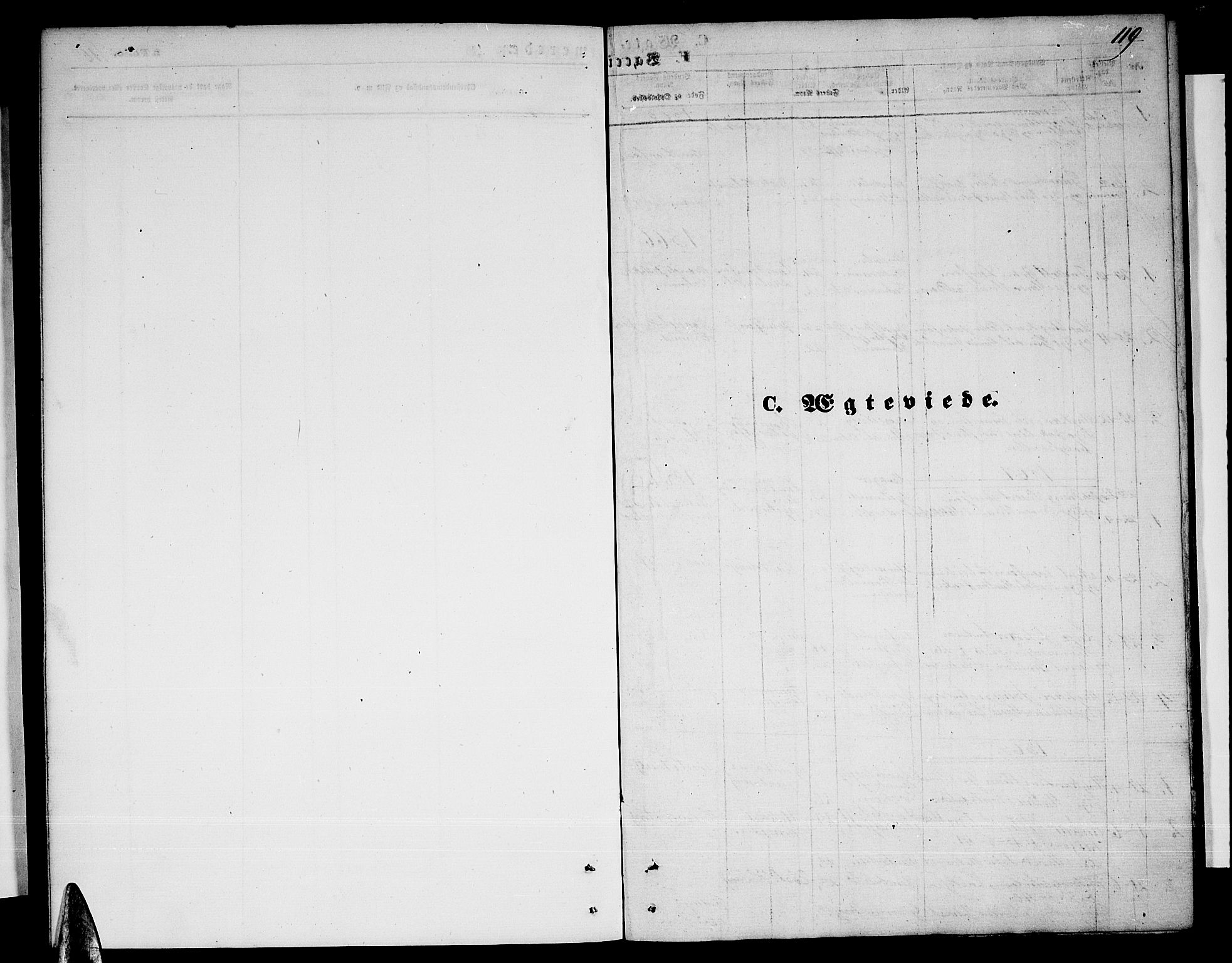 Ministerialprotokoller, klokkerbøker og fødselsregistre - Nordland, AV/SAT-A-1459/823/L0329: Parish register (copy) no. 823C01, 1865-1878, p. 119