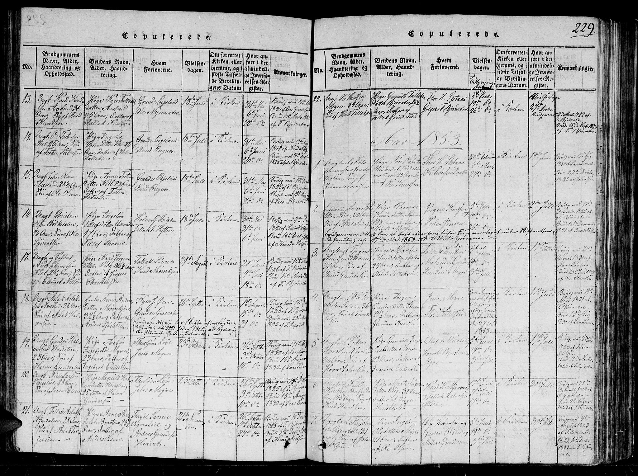 Gjerstad sokneprestkontor, AV/SAK-1111-0014/F/Fb/Fbb/L0001: Parish register (copy) no. B 1, 1813-1863, p. 229