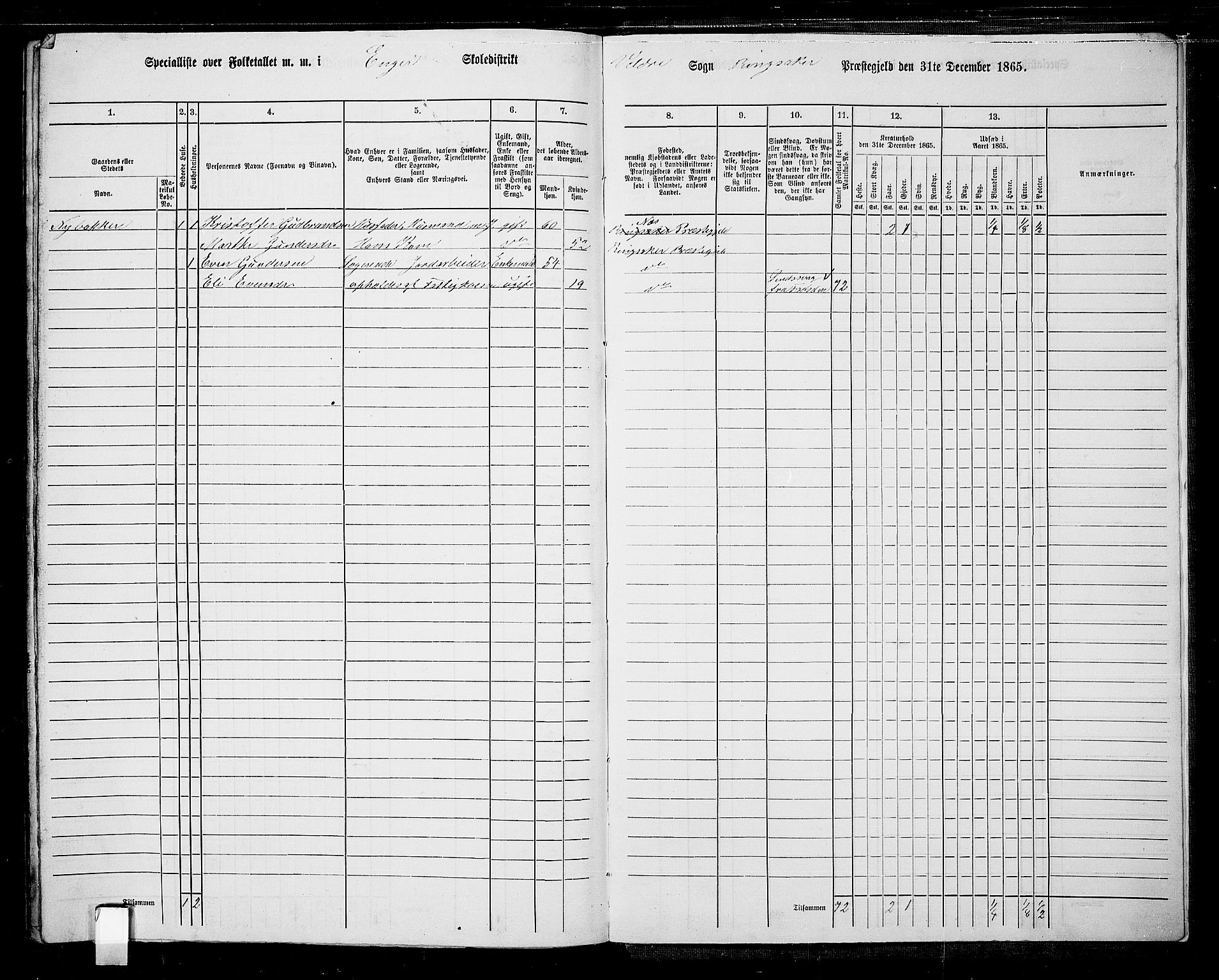 RA, 1865 census for Ringsaker, 1865, p. 259