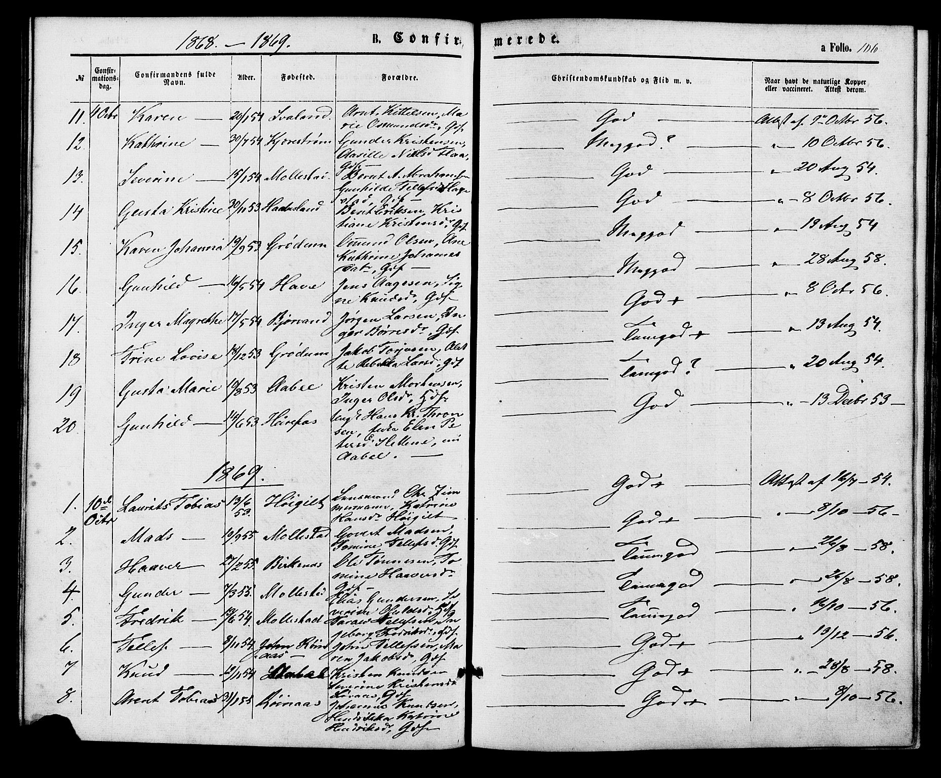 Birkenes sokneprestkontor, SAK/1111-0004/F/Fa/L0004: Parish register (official) no. A 4, 1867-1886, p. 106