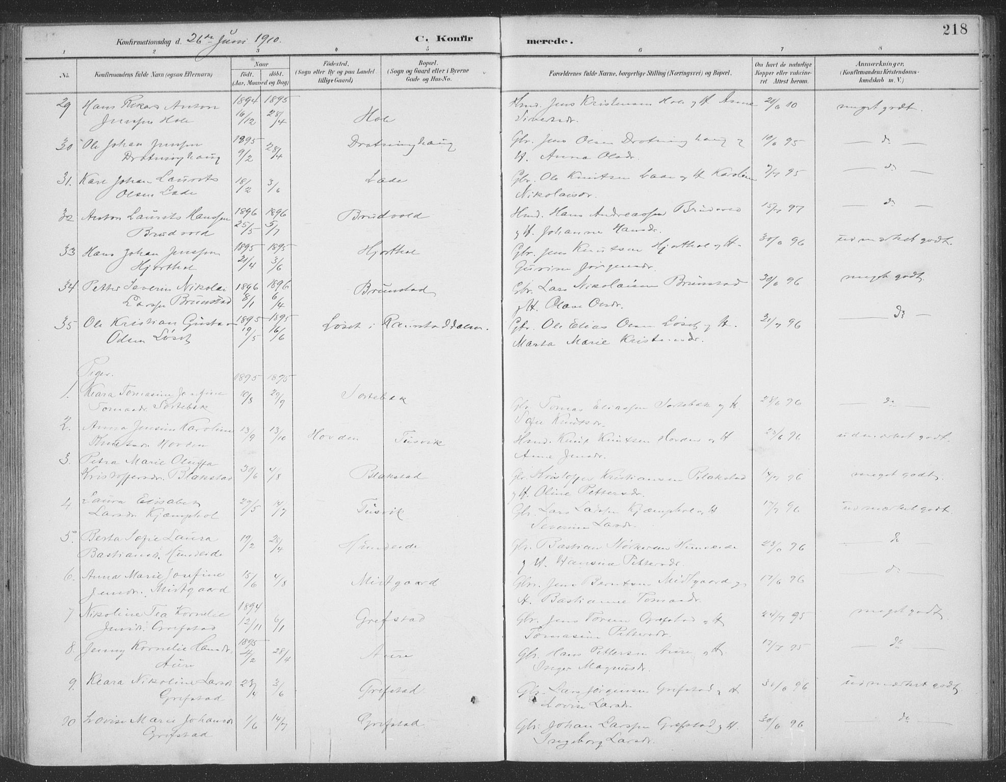 Ministerialprotokoller, klokkerbøker og fødselsregistre - Møre og Romsdal, AV/SAT-A-1454/523/L0335: Parish register (official) no. 523A02, 1891-1911, p. 218