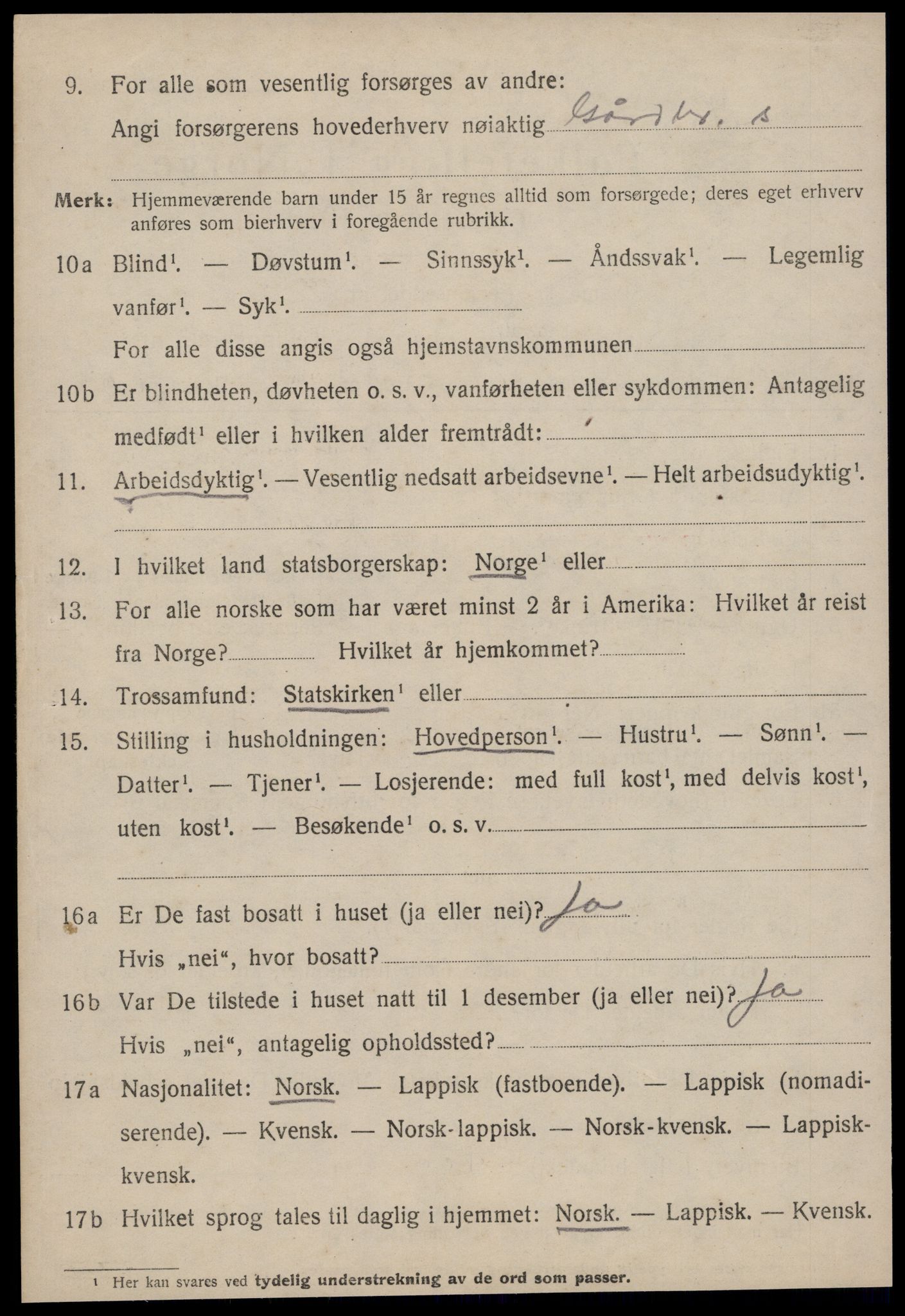 SAT, 1920 census for Selbu, 1920, p. 6507