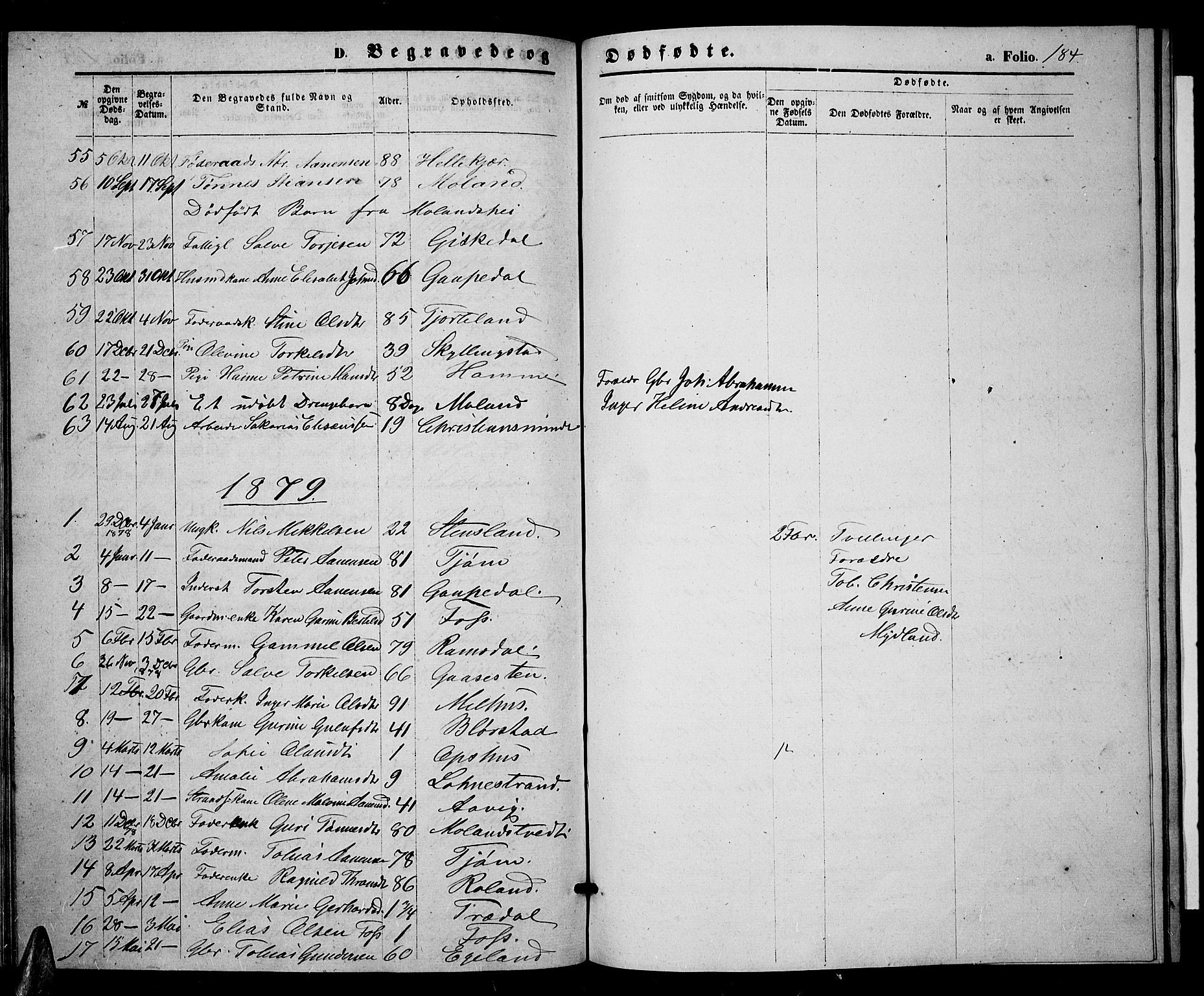 Sør-Audnedal sokneprestkontor, AV/SAK-1111-0039/F/Fb/Fbb/L0004: Parish register (copy) no. B 4, 1868-1879, p. 184