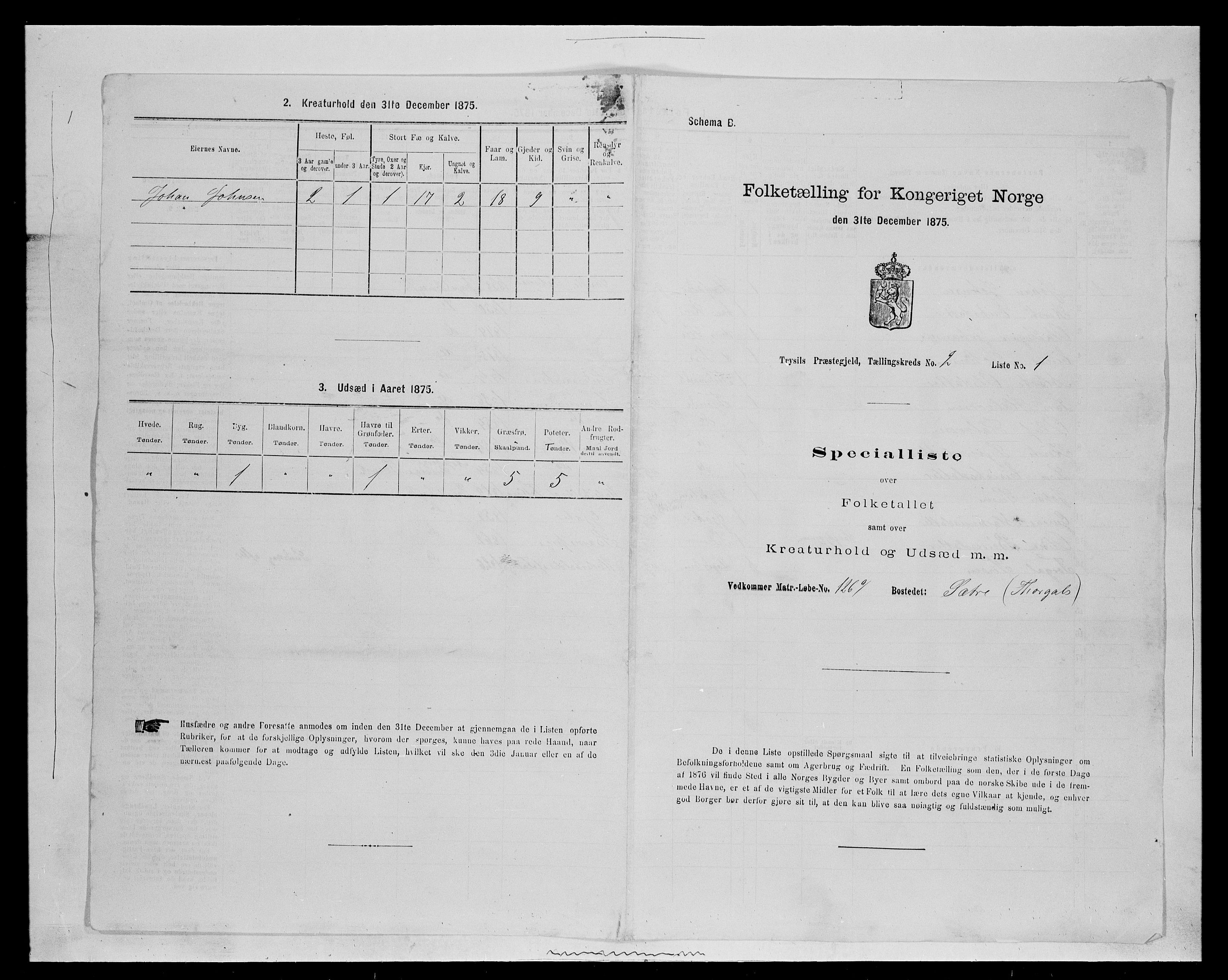 SAH, 1875 census for 0428P Trysil, 1875, p. 260