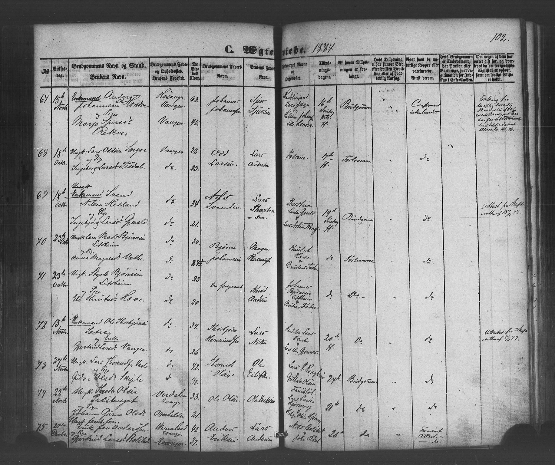 Voss sokneprestembete, SAB/A-79001/H/Haa: Parish register (official) no. A 19, 1851-1886, p. 102