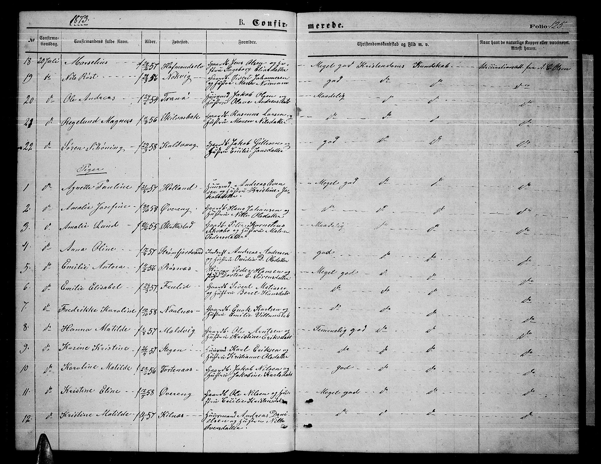 Ministerialprotokoller, klokkerbøker og fødselsregistre - Nordland, AV/SAT-A-1459/859/L0858: Parish register (copy) no. 859C04, 1873-1886, p. 125