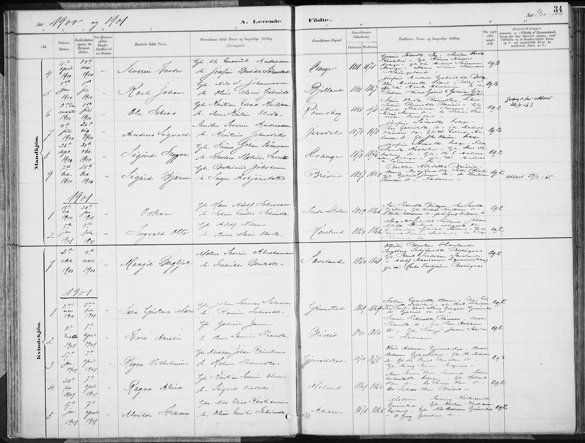 Herad sokneprestkontor, SAK/1111-0018/F/Fa/Faa/L0006: Parish register (official) no. A 6, 1887-1907, p. 34