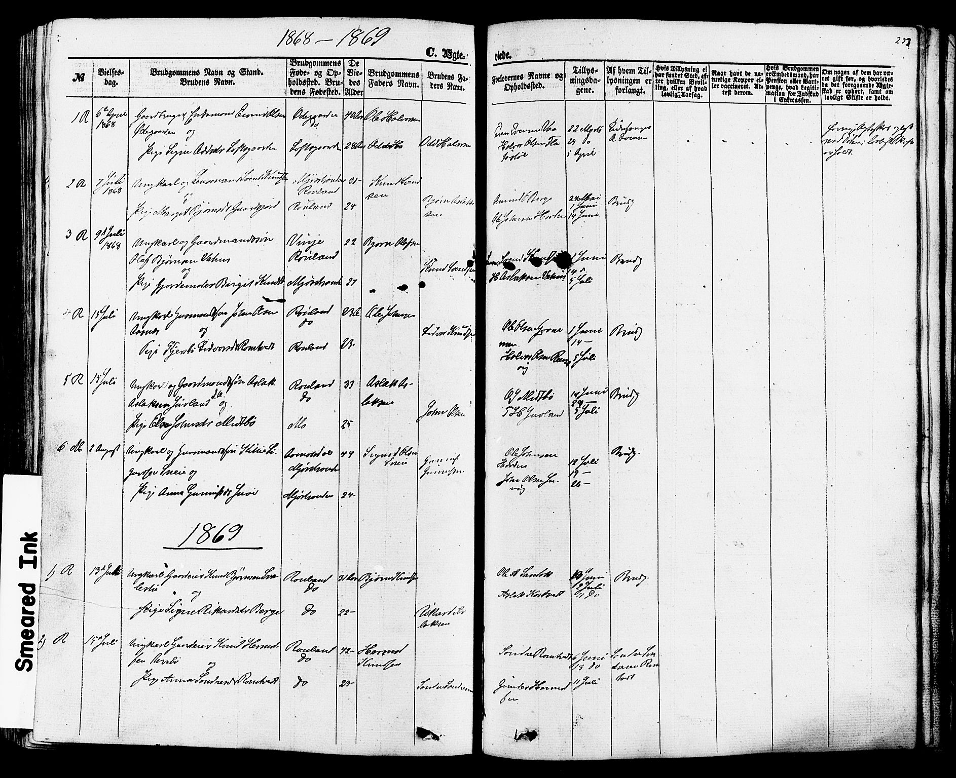 Rauland kirkebøker, AV/SAKO-A-292/F/Fa/L0003: Parish register (official) no. I 3, 1859-1886, p. 233