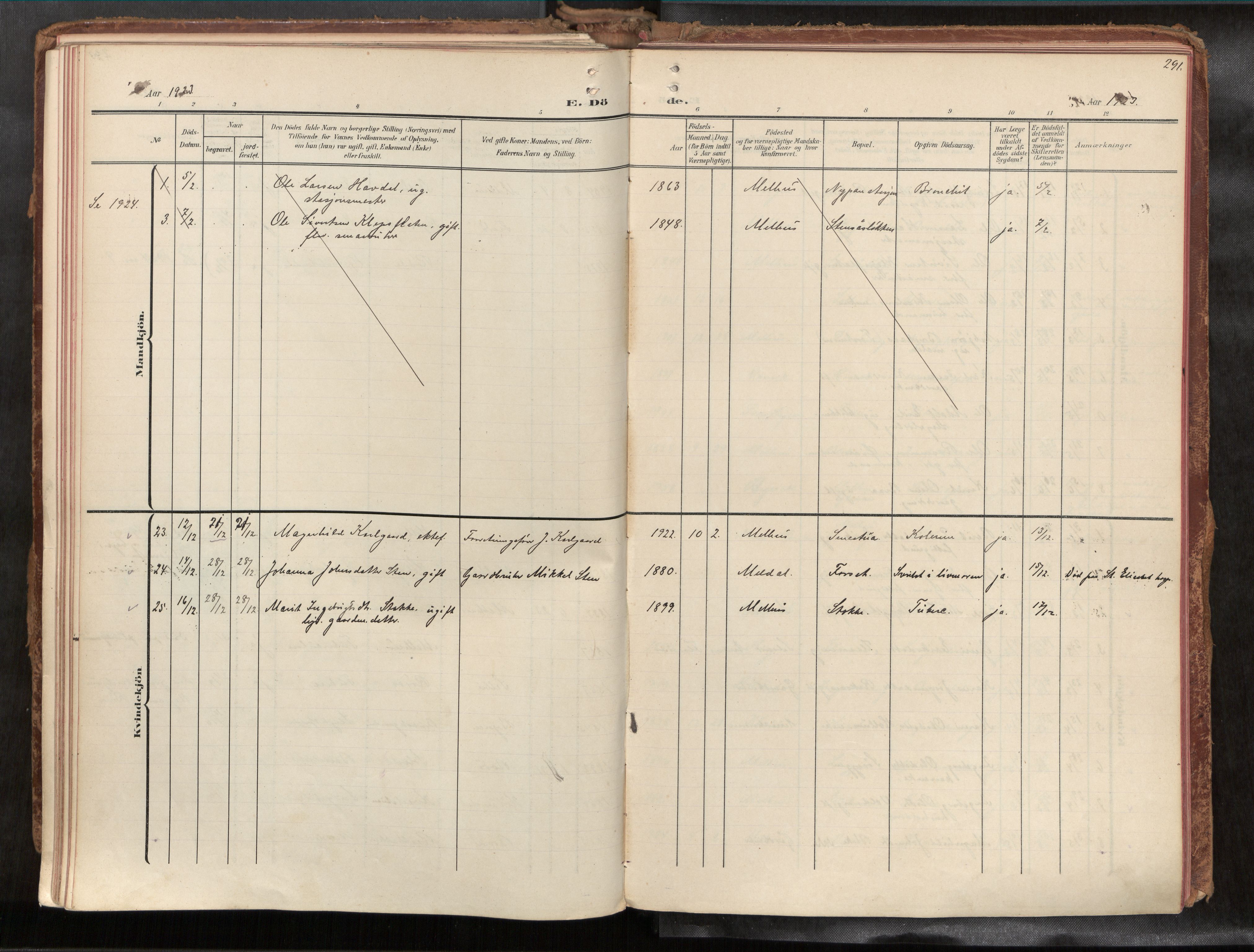 Ministerialprotokoller, klokkerbøker og fødselsregistre - Sør-Trøndelag, SAT/A-1456/691/L1085b: Parish register (official) no. 691A18, 1908-1930, p. 291