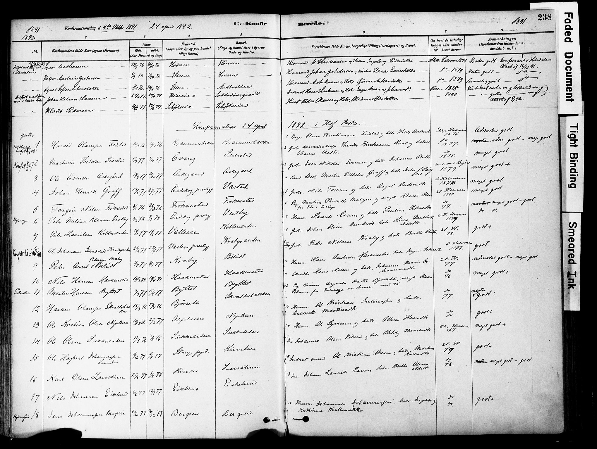 Østre Toten prestekontor, SAH/PREST-104/H/Ha/Haa/L0006: Parish register (official) no. 6 /1, 1878-1896, p. 238